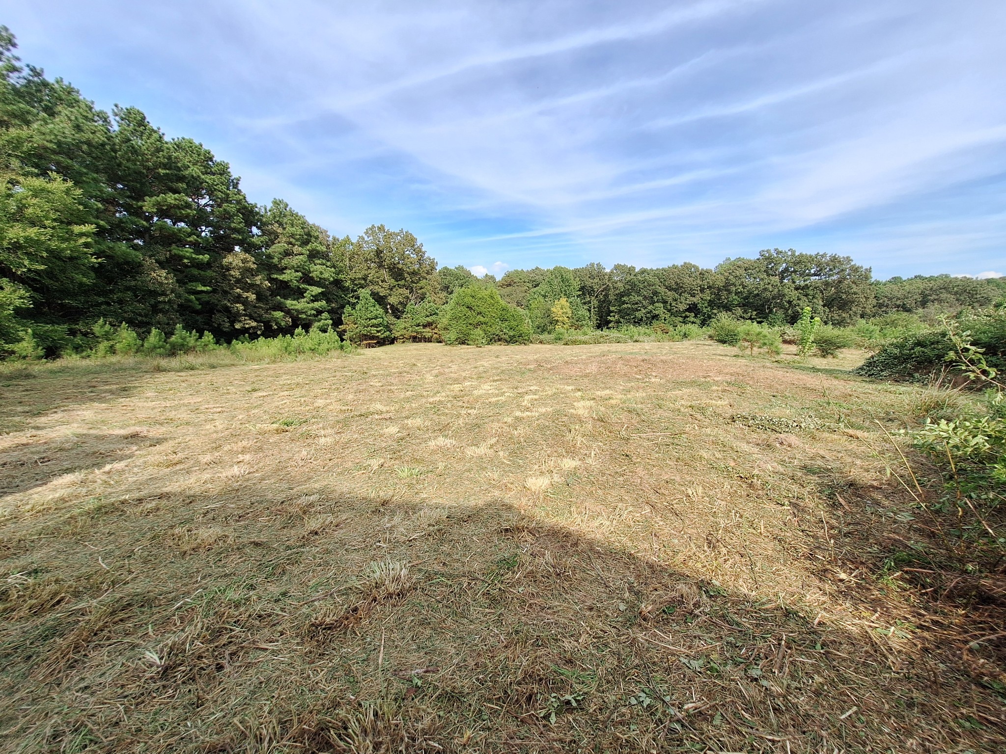 25250 Hwy 114 Property Photo 14