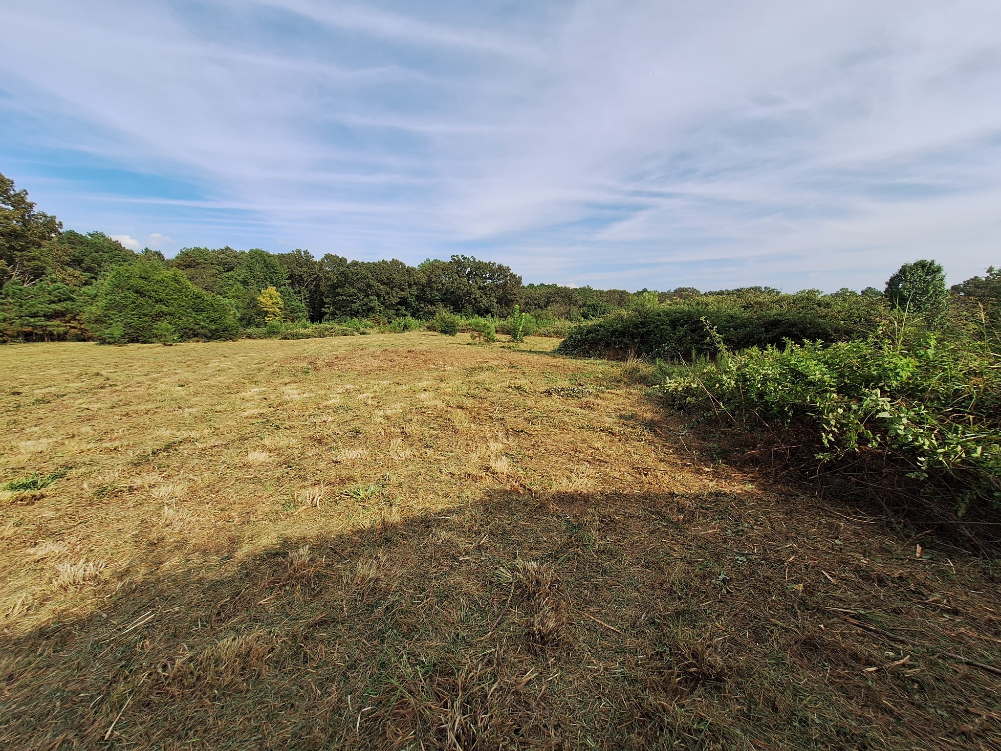 25250 Hwy 114 Property Photo 15