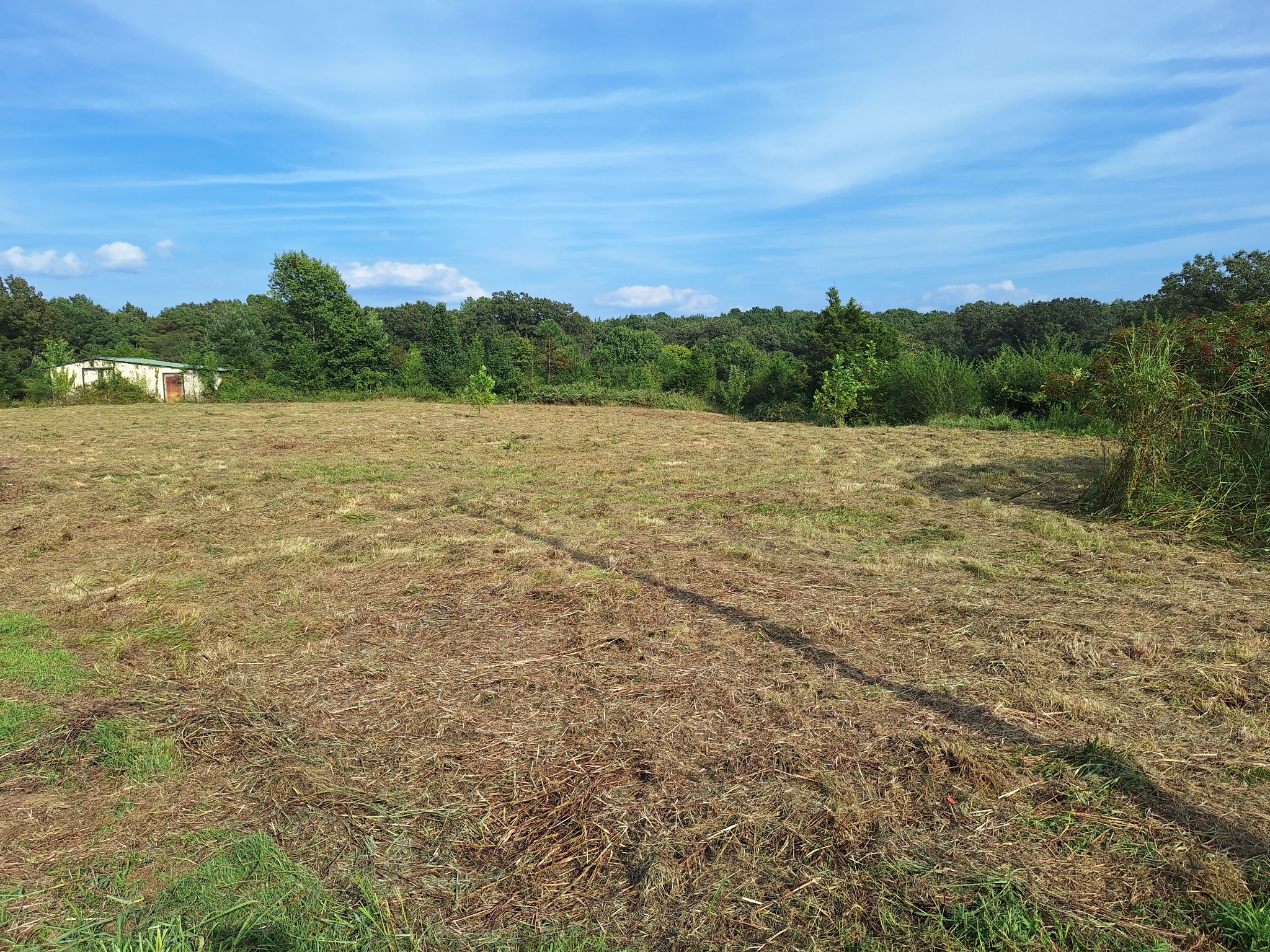 25250 Hwy 114 Property Photo 17