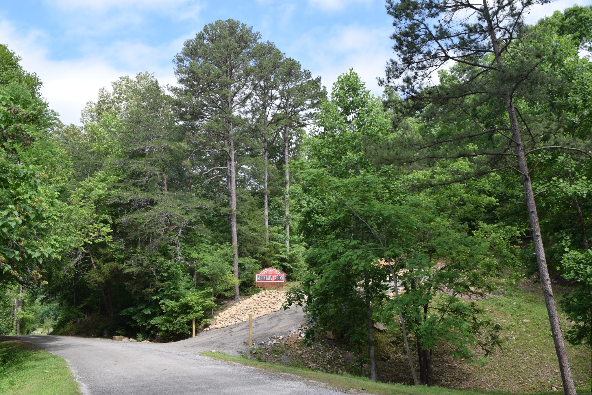 9929 Mullins Cove Rd Property Photo 4