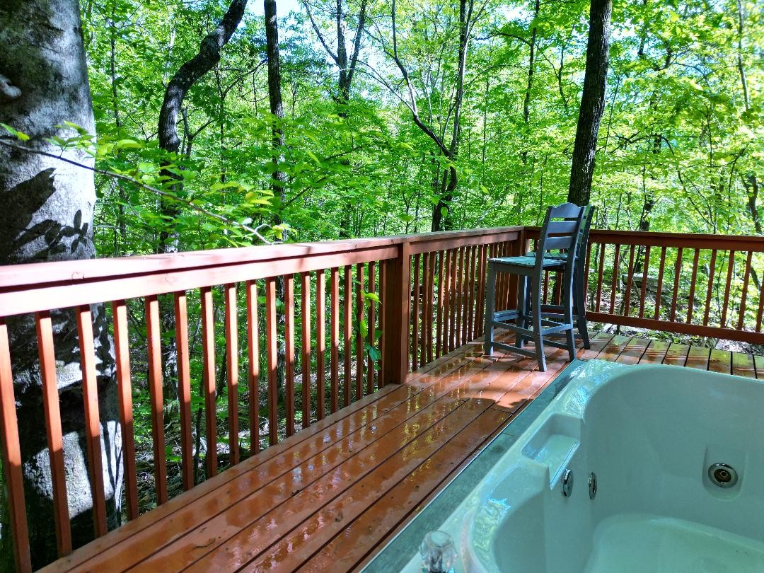 9929 Mullins Cove Rd Property Photo 15