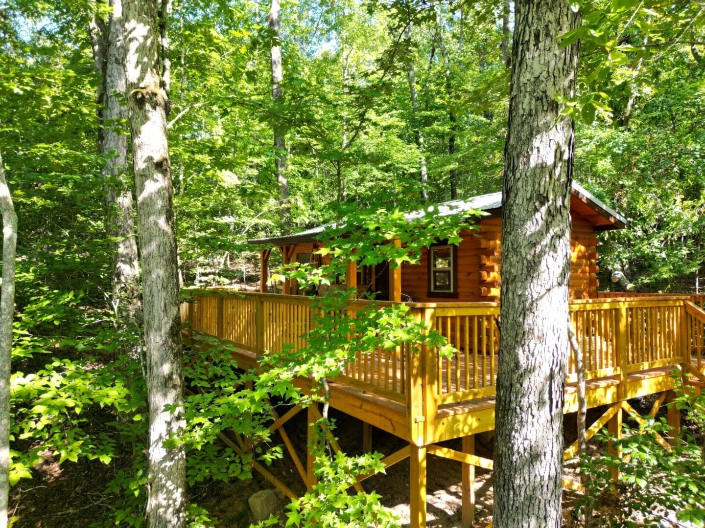 9929 Mullins Cove Rd Property Photo 18