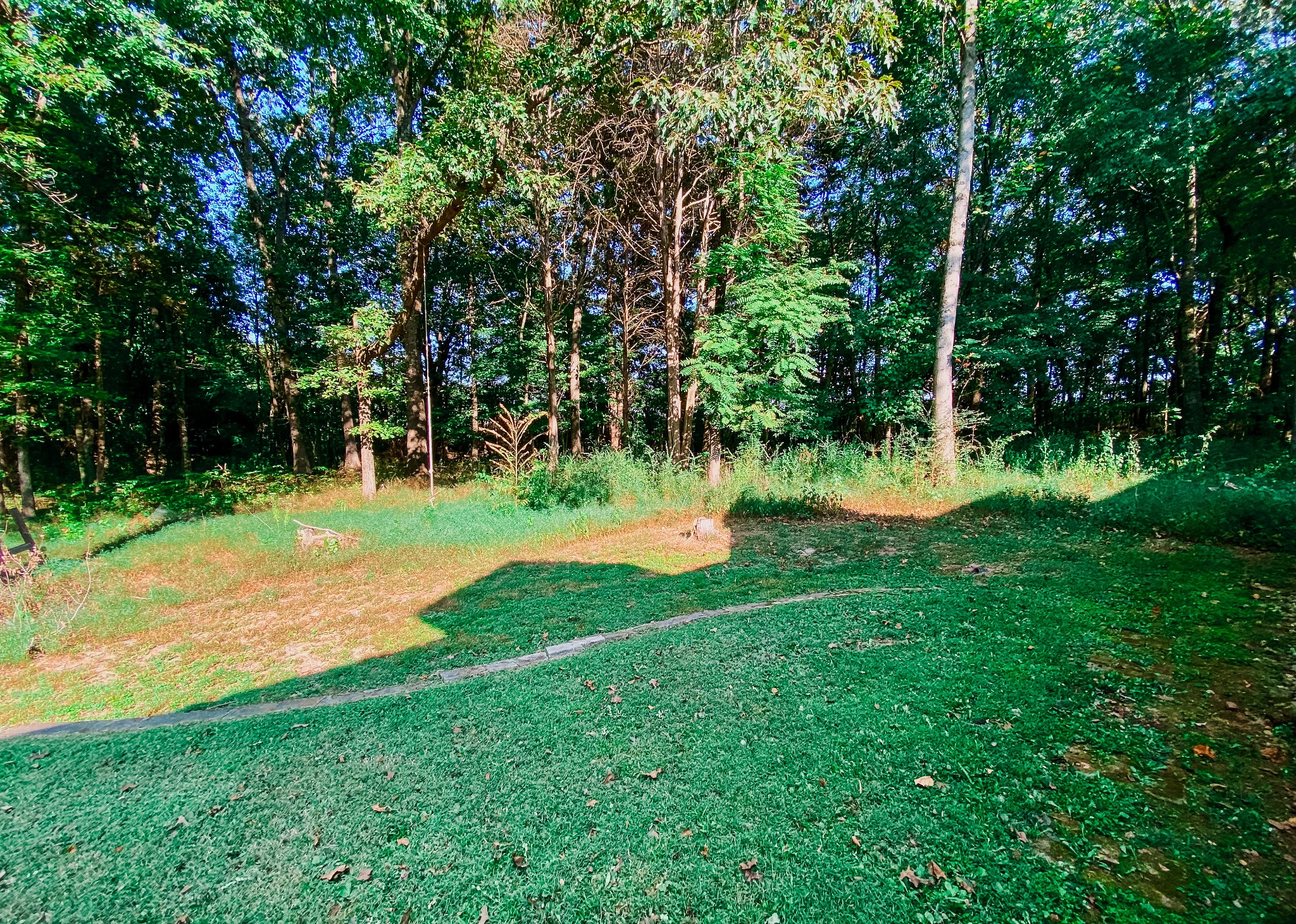 1006 Clearview Pt Property Photo 21