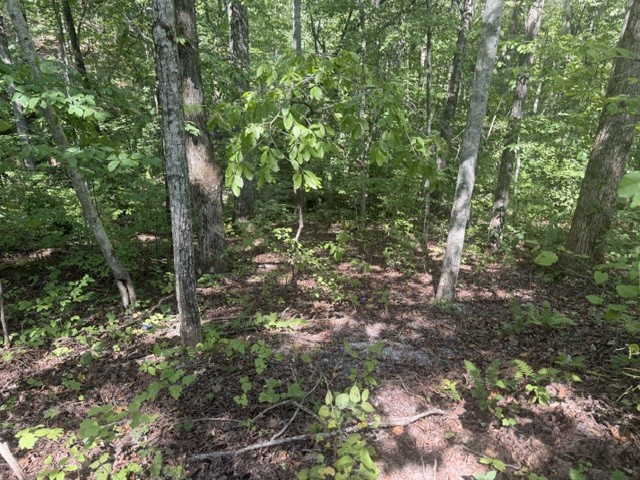 12 Skyline Dr Property Photo 1