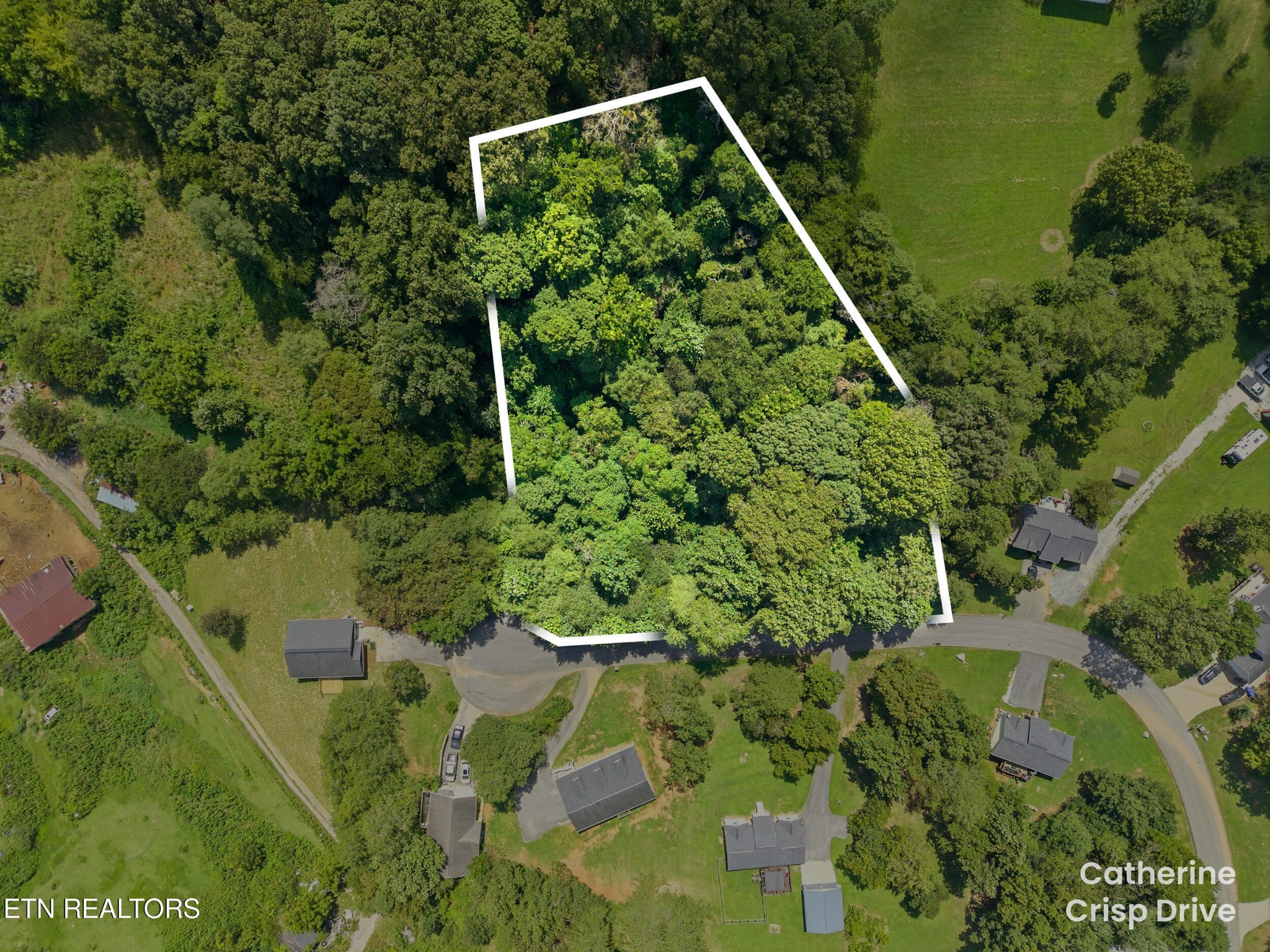 0 Catherine Crisp Drive Property Photo 1