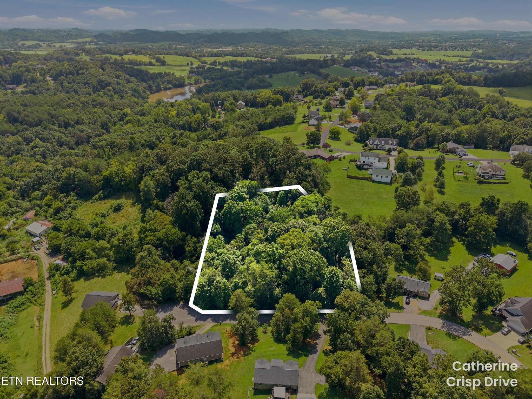 0 Catherine Crisp Drive Property Photo 4