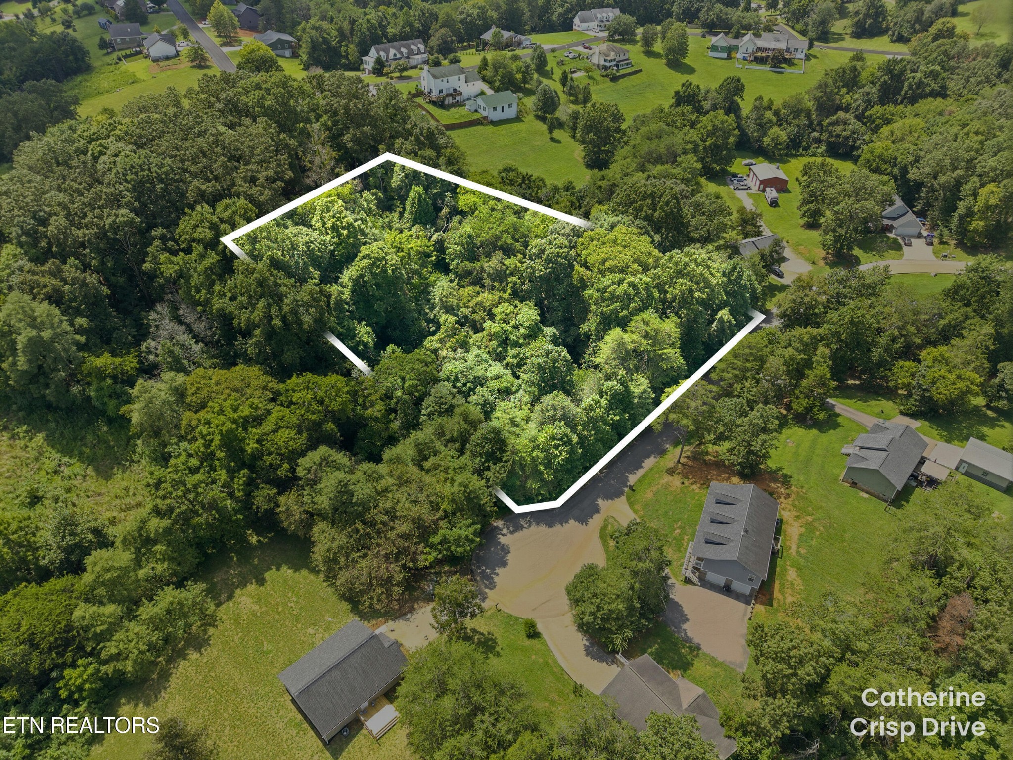 0 Catherine Crisp Drive Property Photo 6