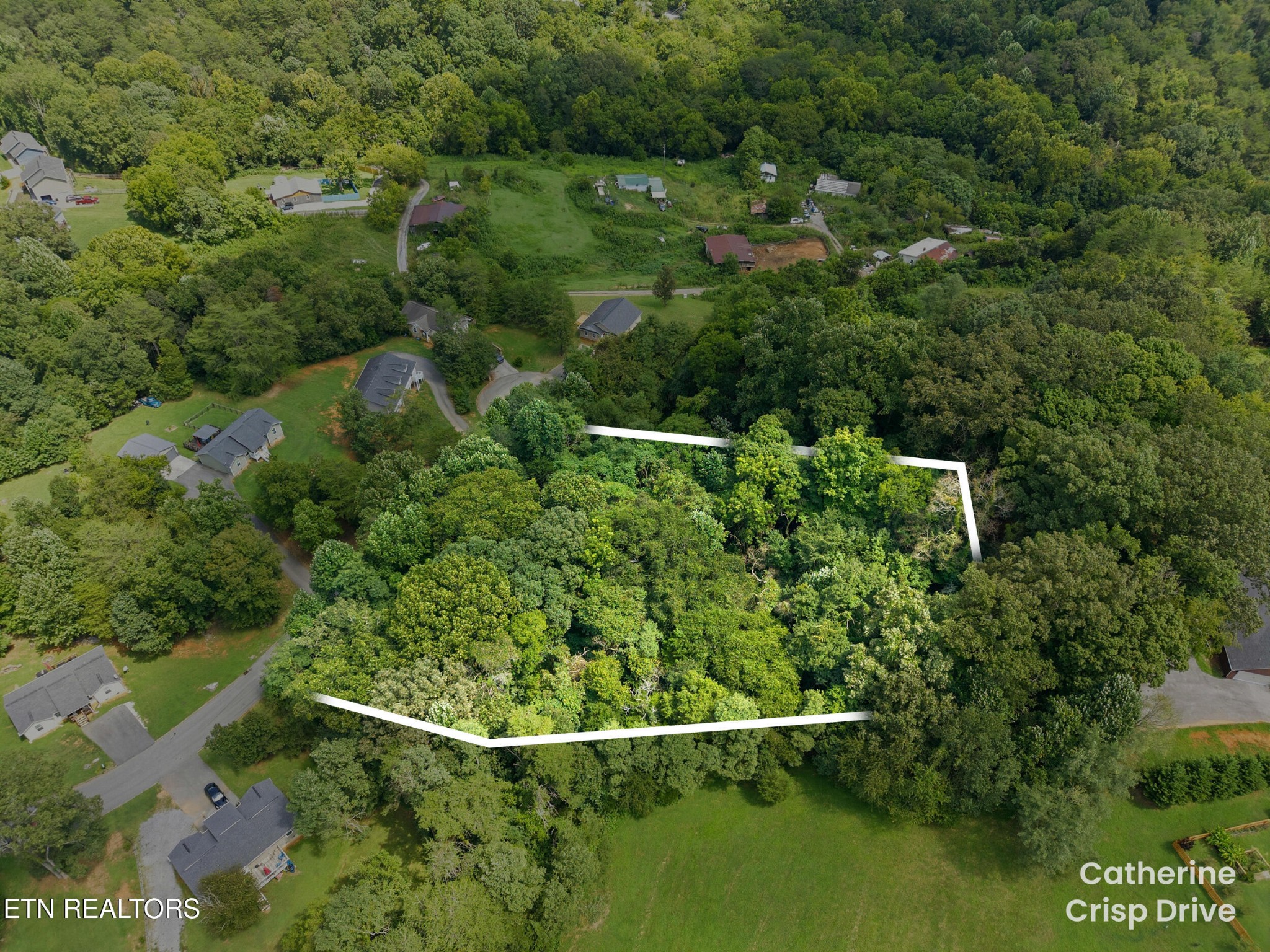 0 Catherine Crisp Drive Property Photo 8