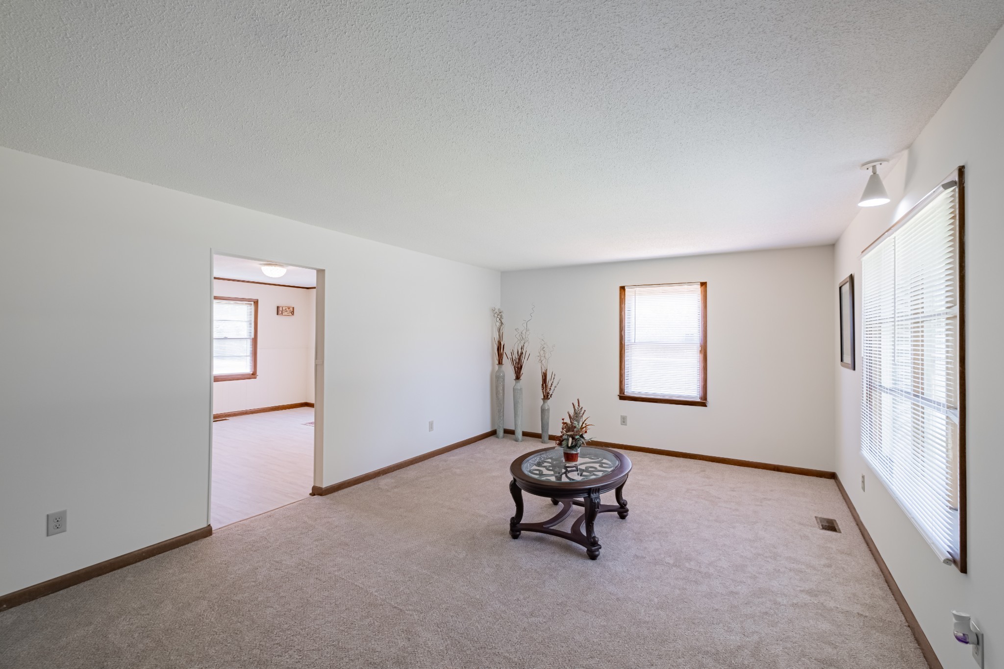 1319 Hills Chapel Rd Property Photo 23