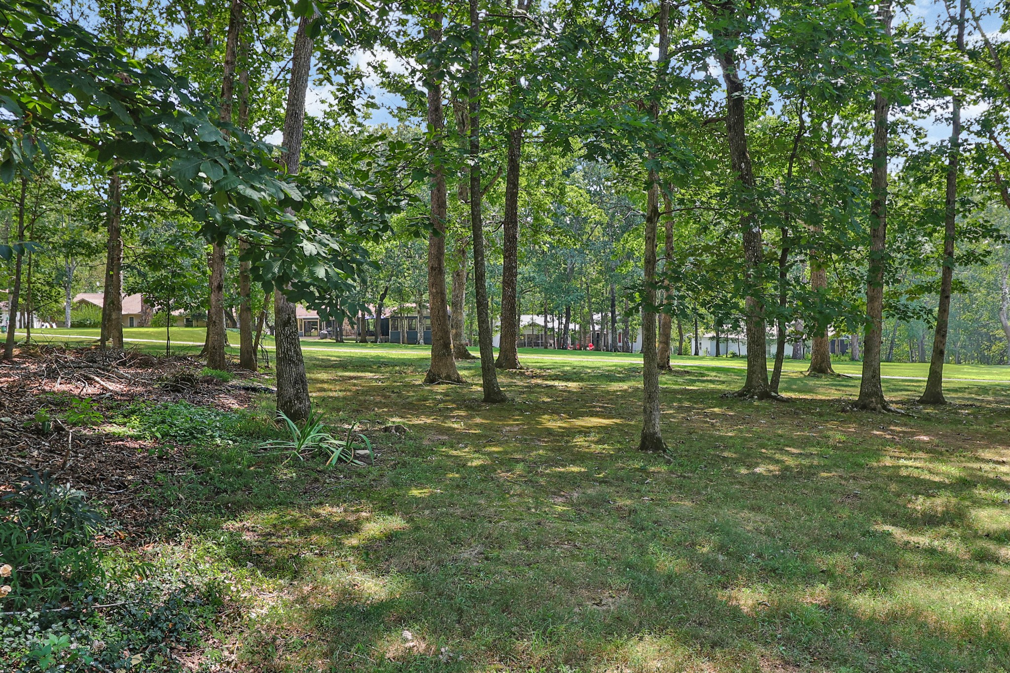 143 Lisa Ln Property Photo 47