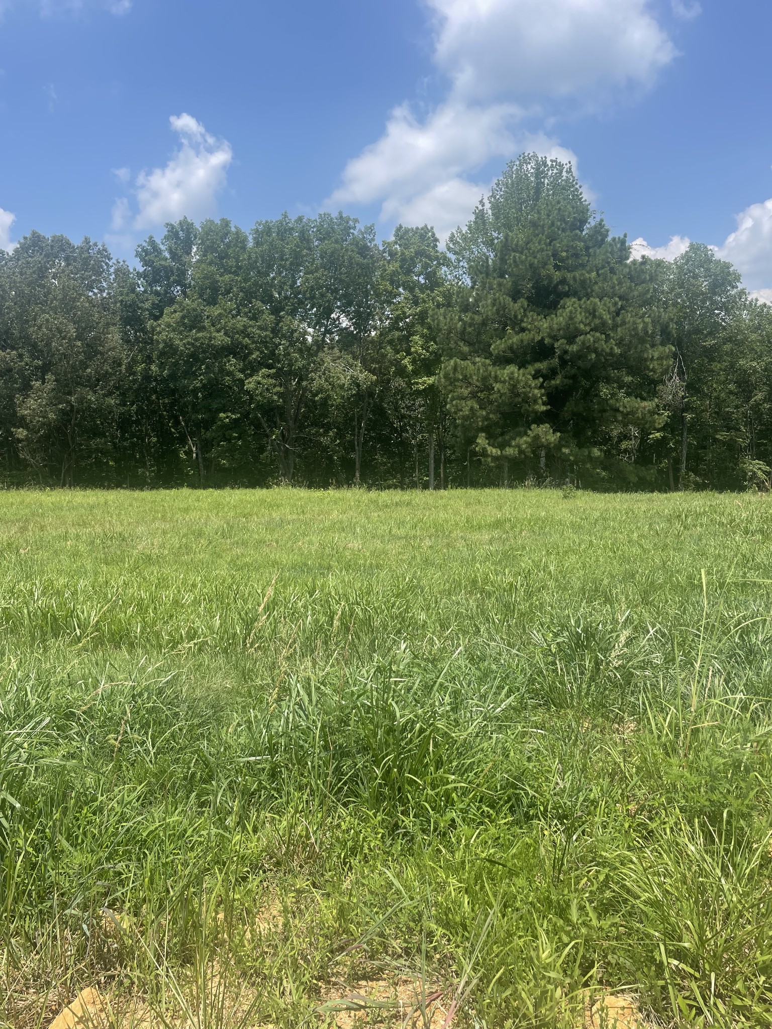 0 Summer Lake Property Photo 1