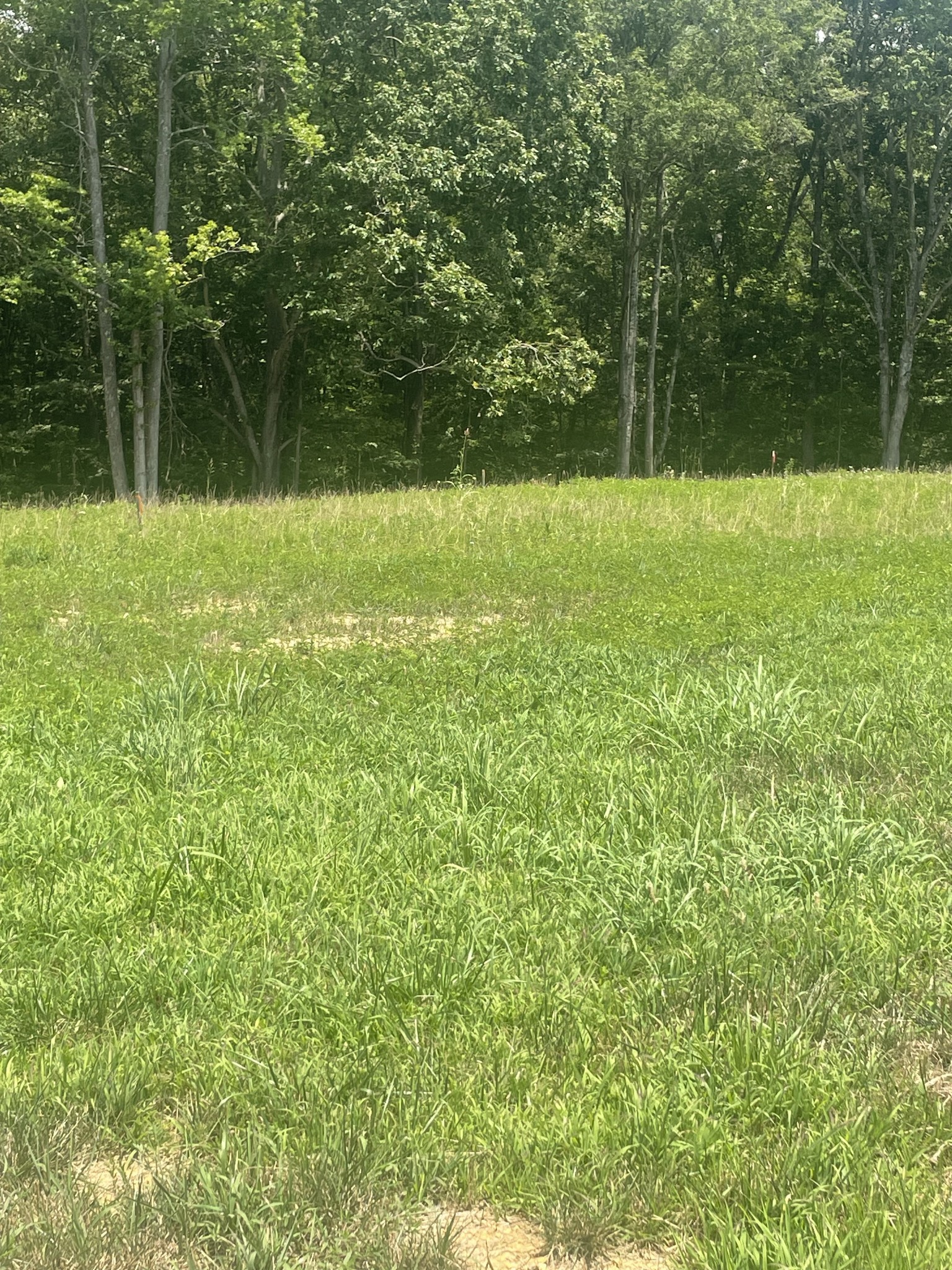 0 Summer Lake