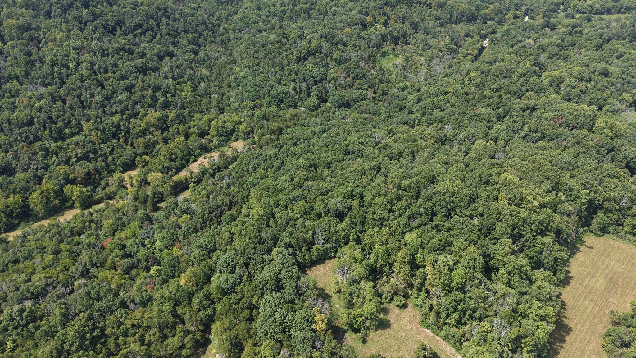 121 Madden Private Ln Property Photo 12