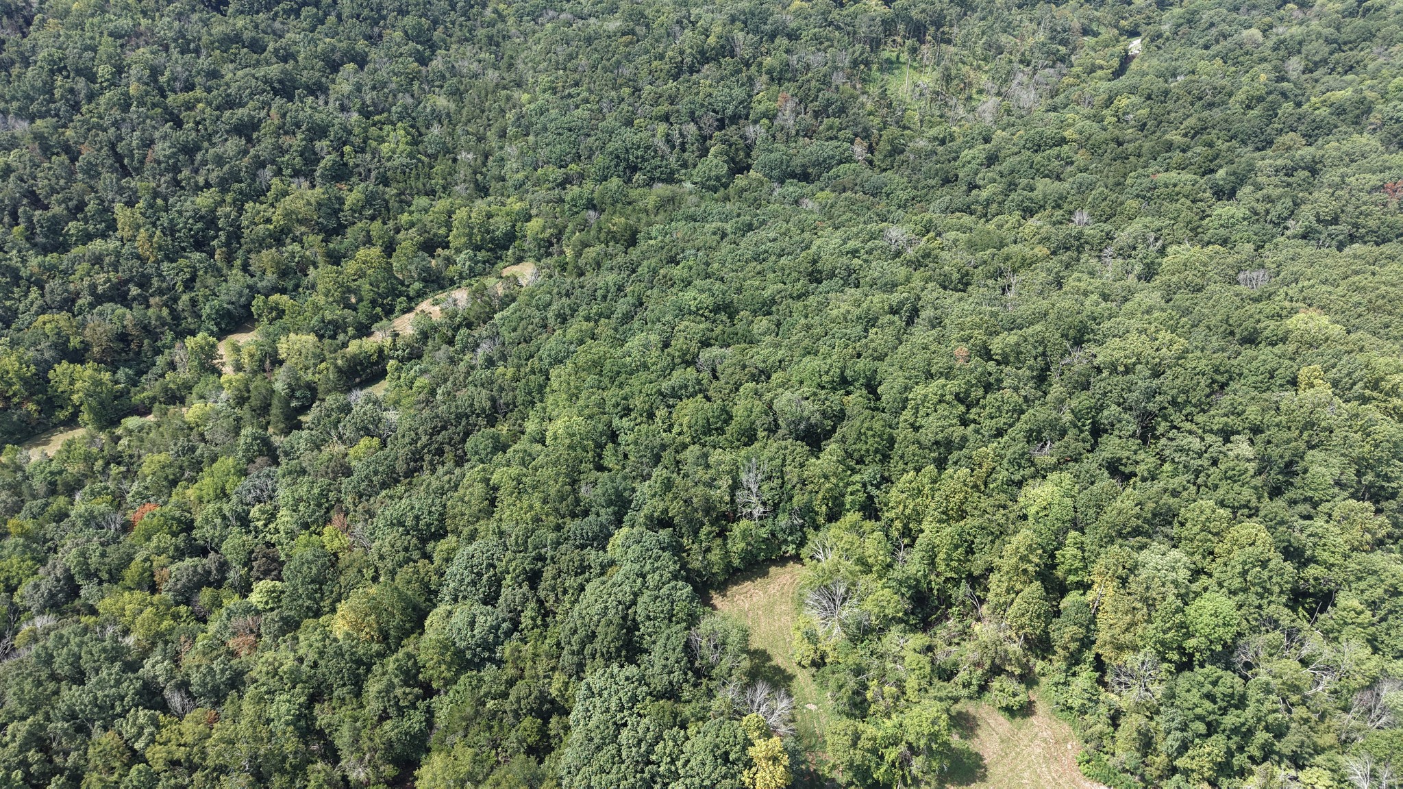 121 Madden Private Ln Property Photo 14