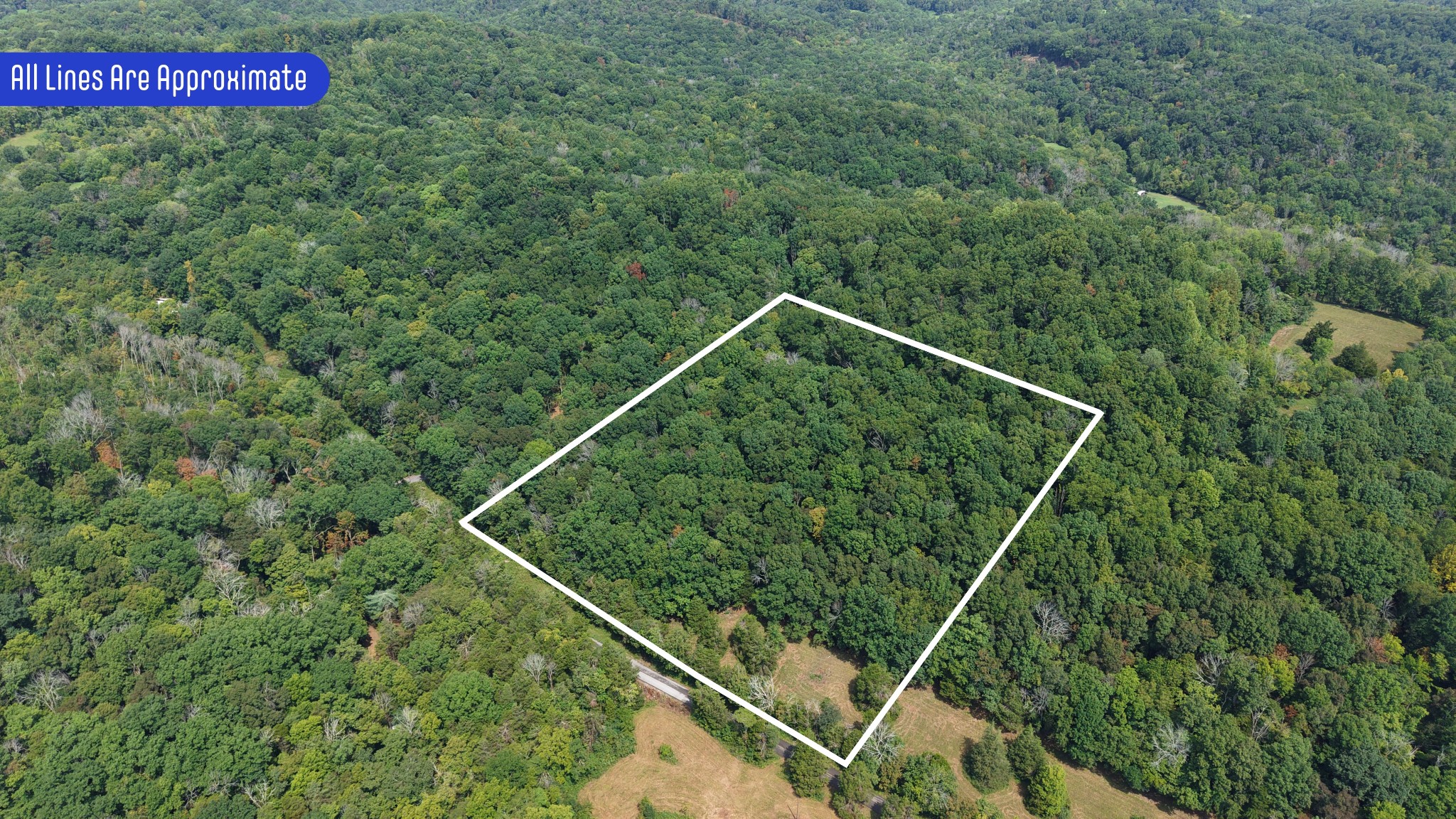 661 Red Tuttle Rd Property Photo 3