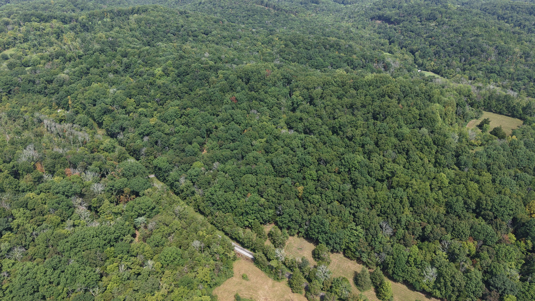 661 Red Tuttle Rd Property Photo 4