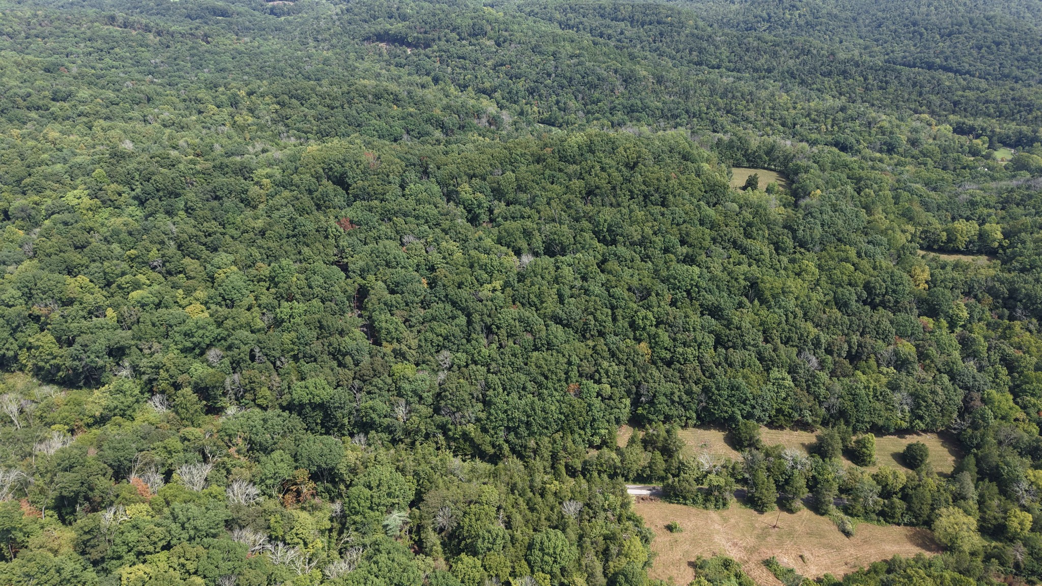 661 Red Tuttle Rd Property Photo 5