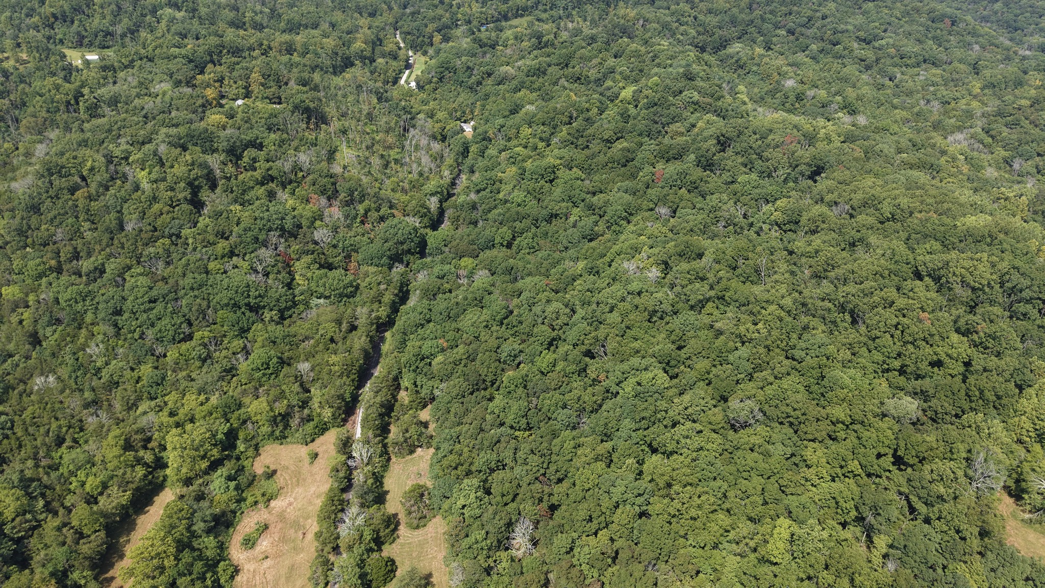 661 Red Tuttle Rd Property Photo 13