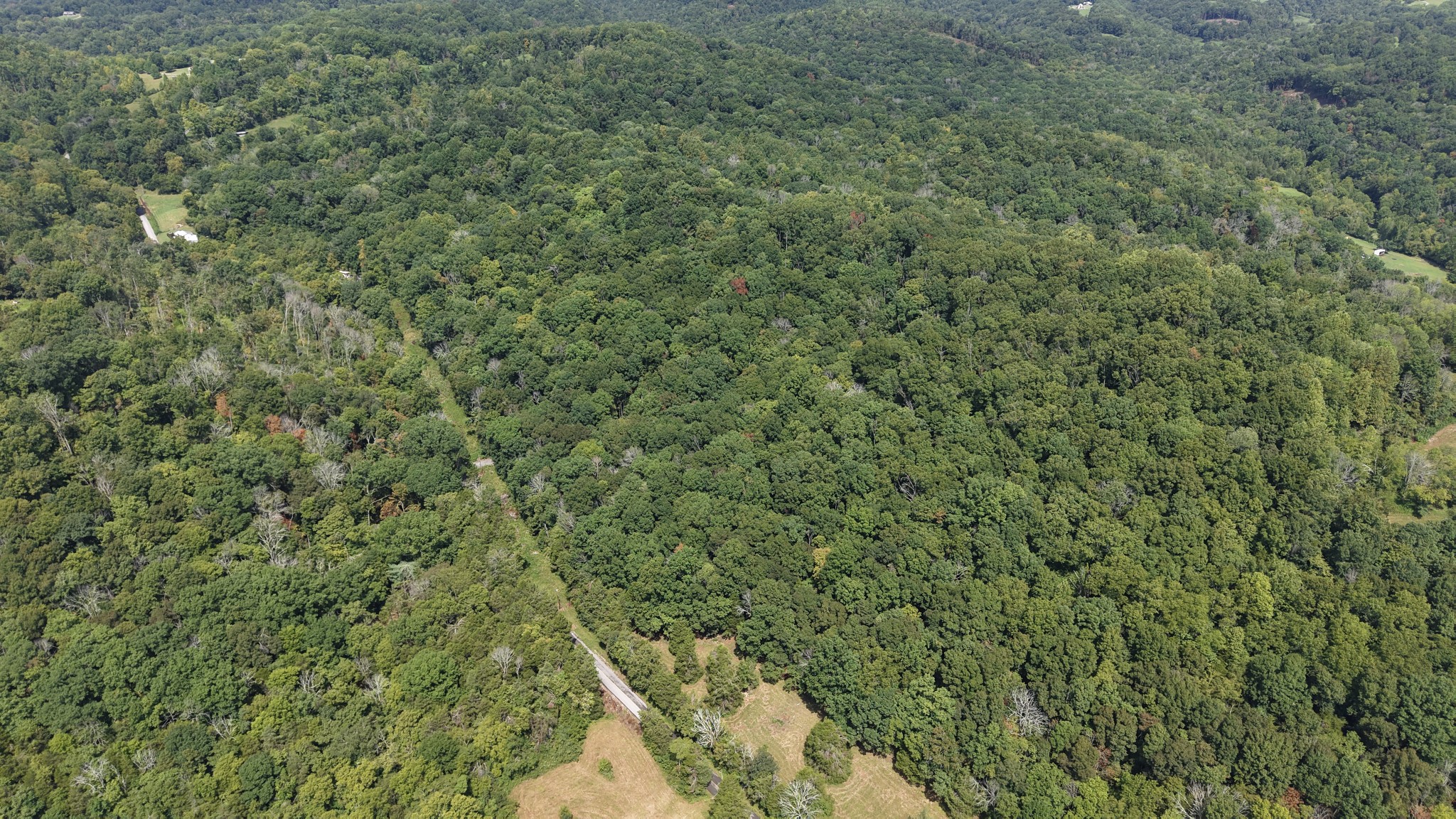 661 Red Tuttle Rd Property Photo 14