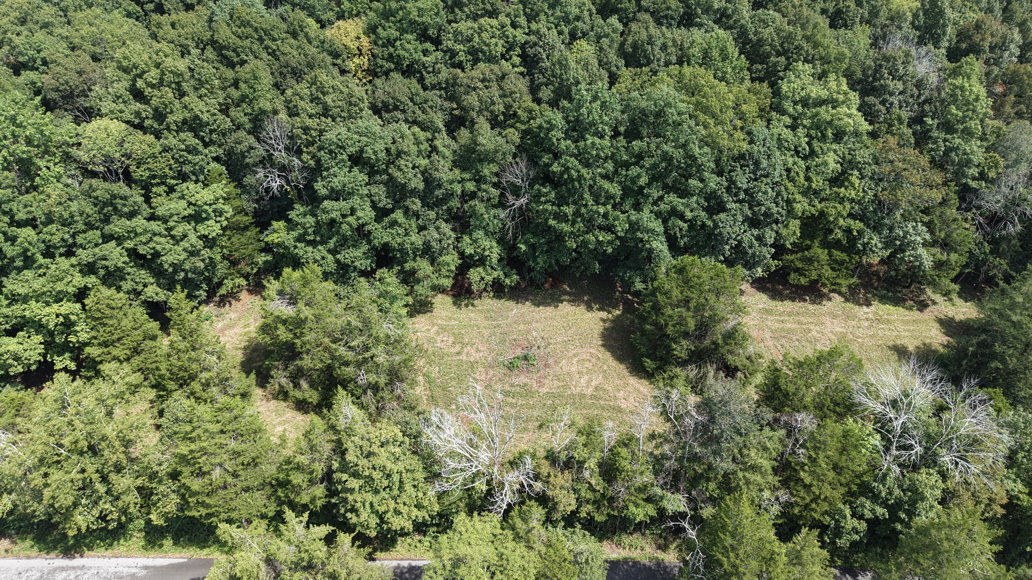 661 Red Tuttle Rd Property Photo 15