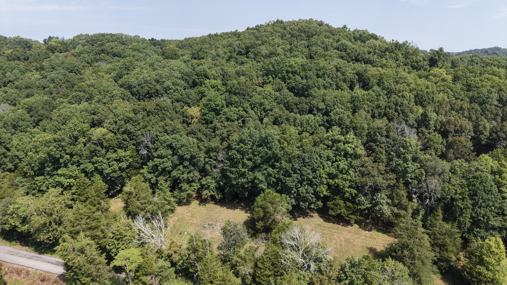 661 Red Tuttle Rd Property Photo 16