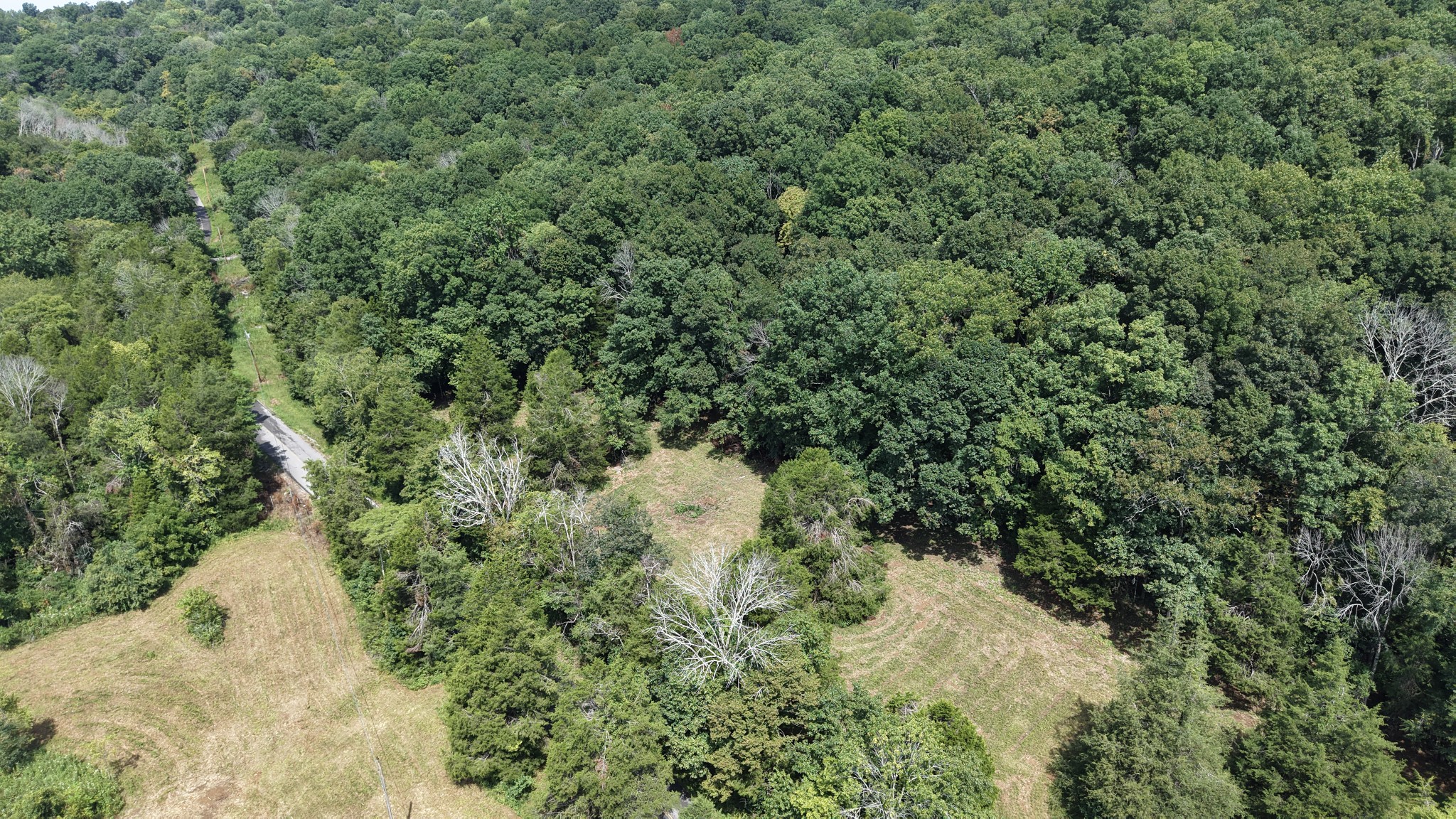 661 Red Tuttle Rd Property Photo 17