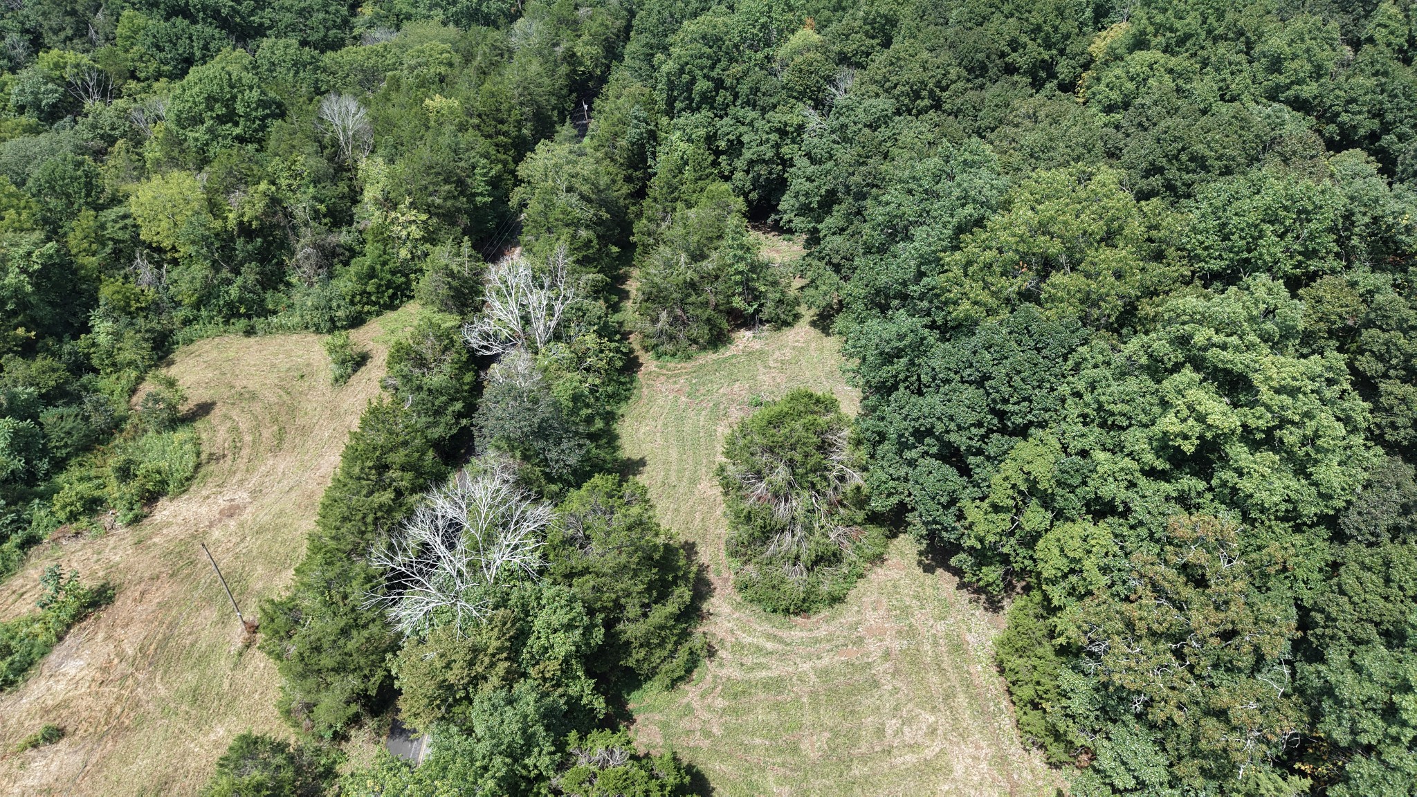 661 Red Tuttle Rd Property Photo 18