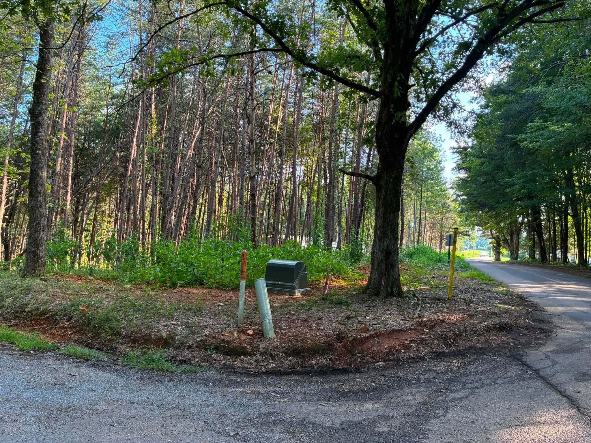 100 County Road 262 Lot 4 Property Photo 1
