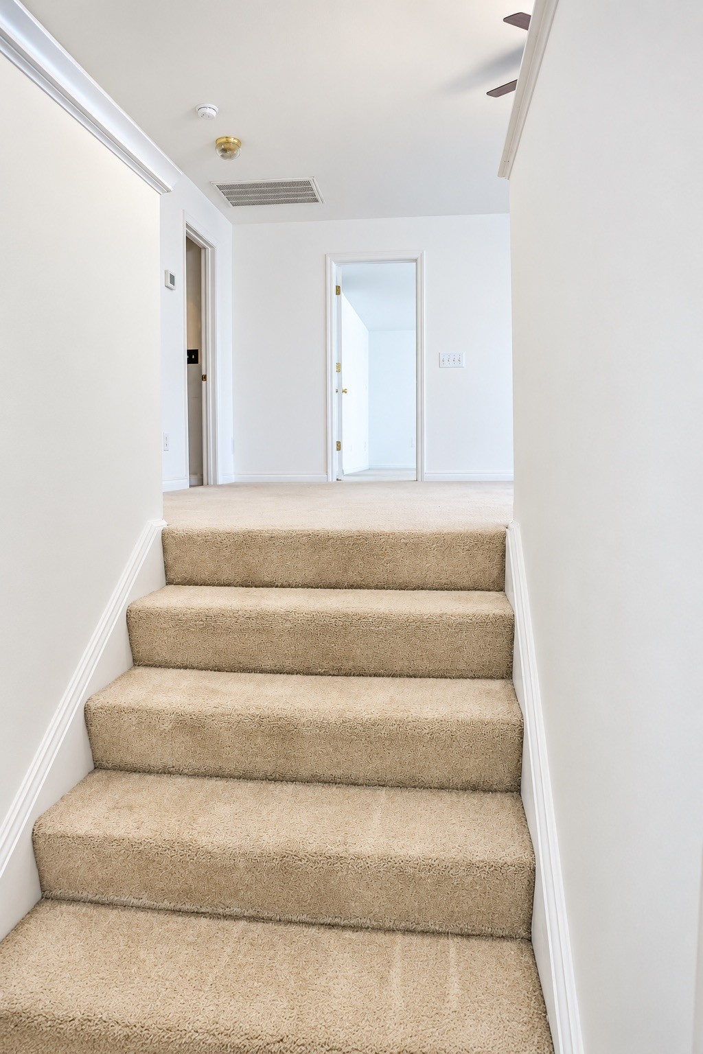 201 Briarcotes Cir Property Photo 26