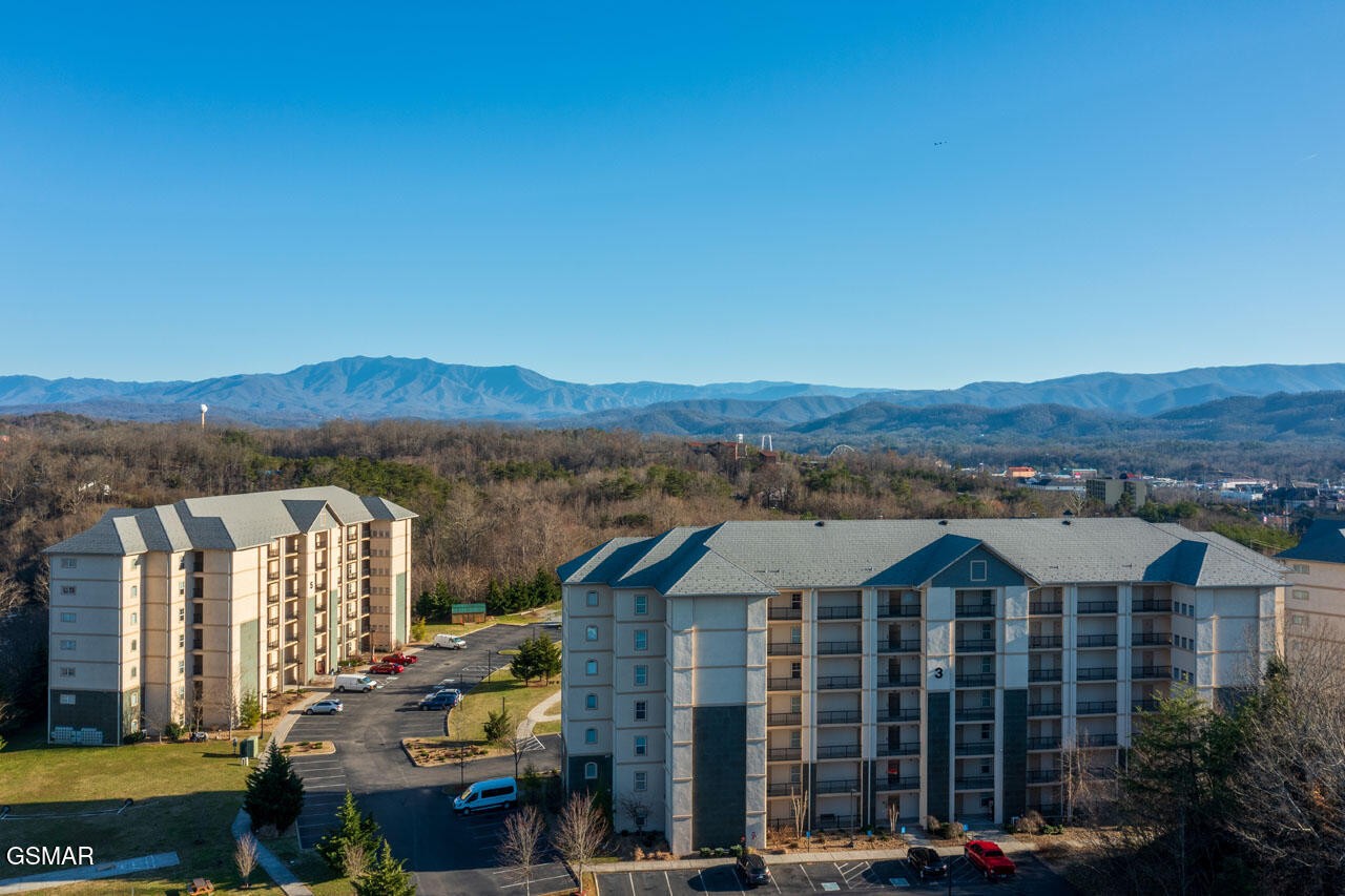 124 Plaza Property Photo 41