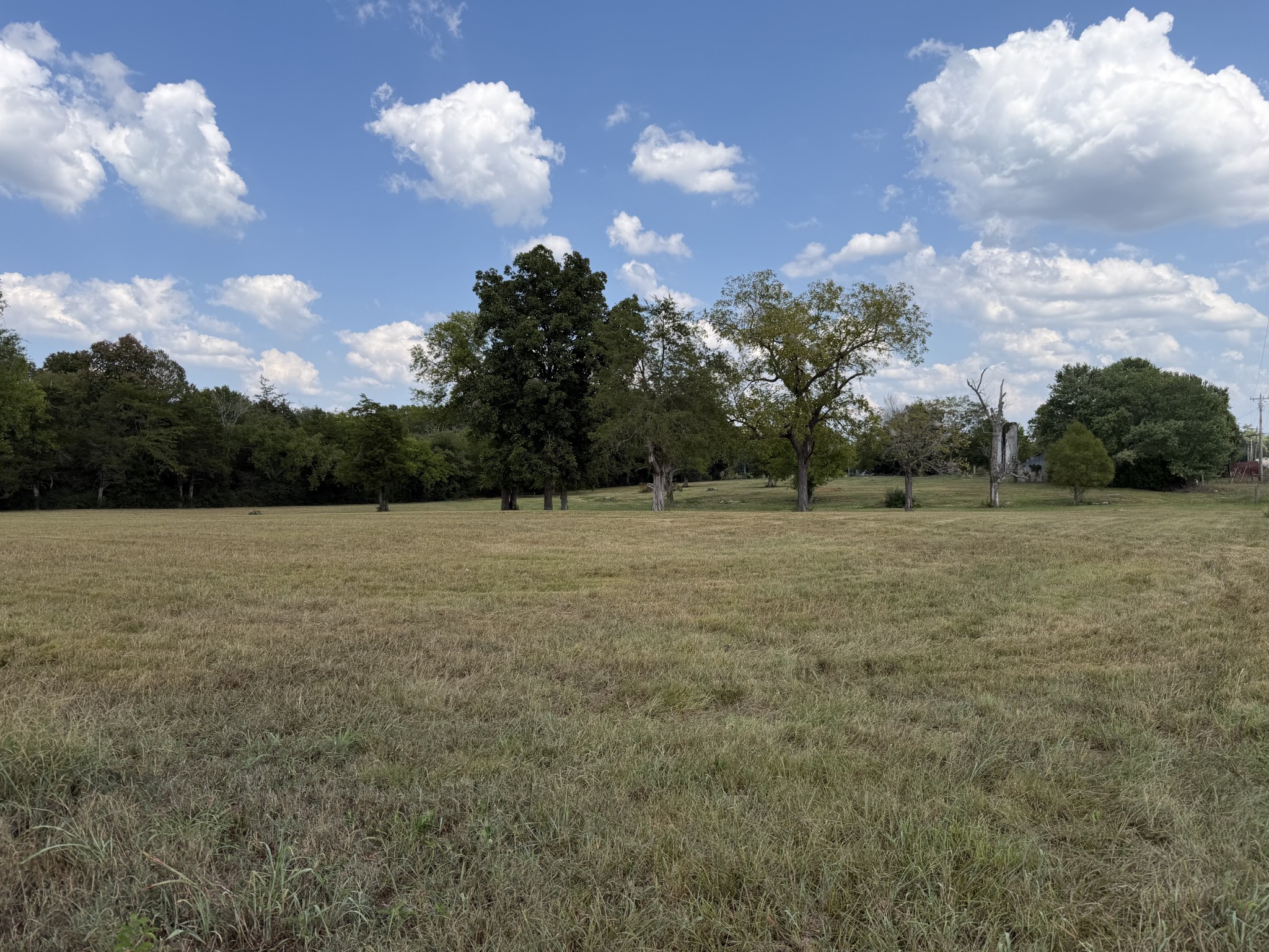 0 Midland Fosterville Rd Property Photo 1