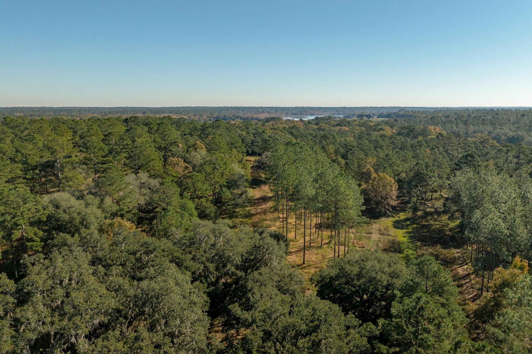 9700 Old Magnolia Road Property Photo 9