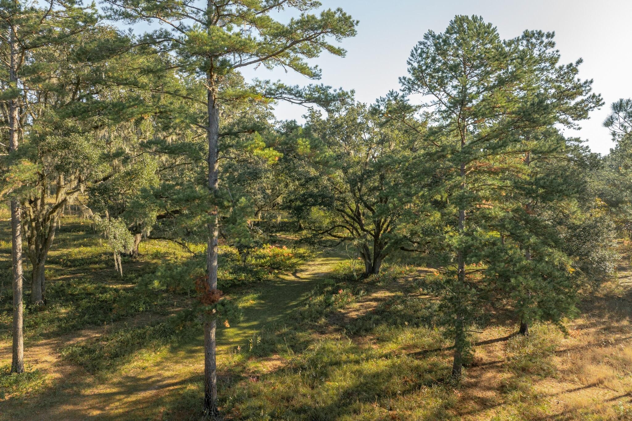 9700 Old Magnolia Road Property Photo 14