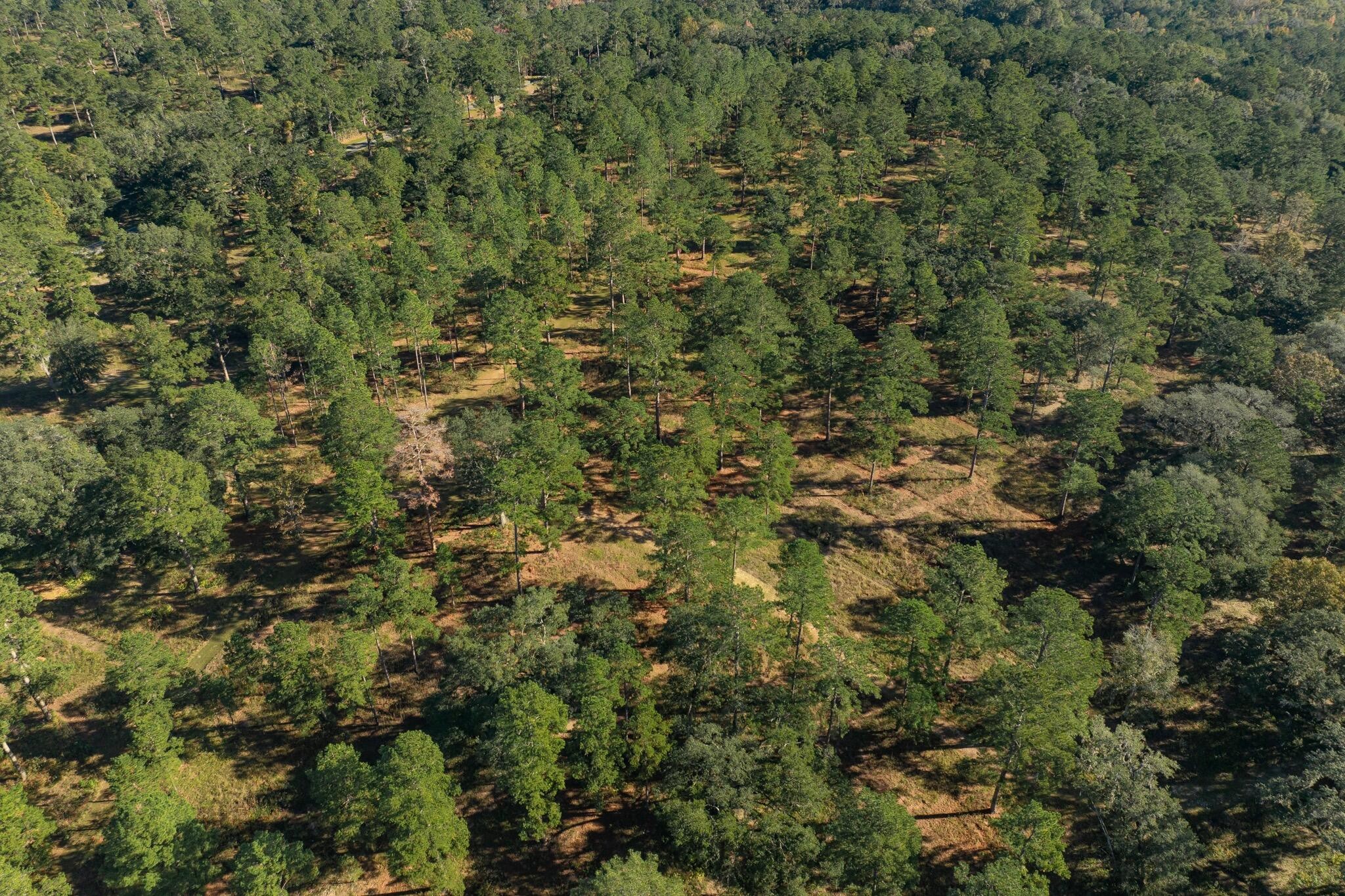 9700 Old Magnolia Road Property Photo 17