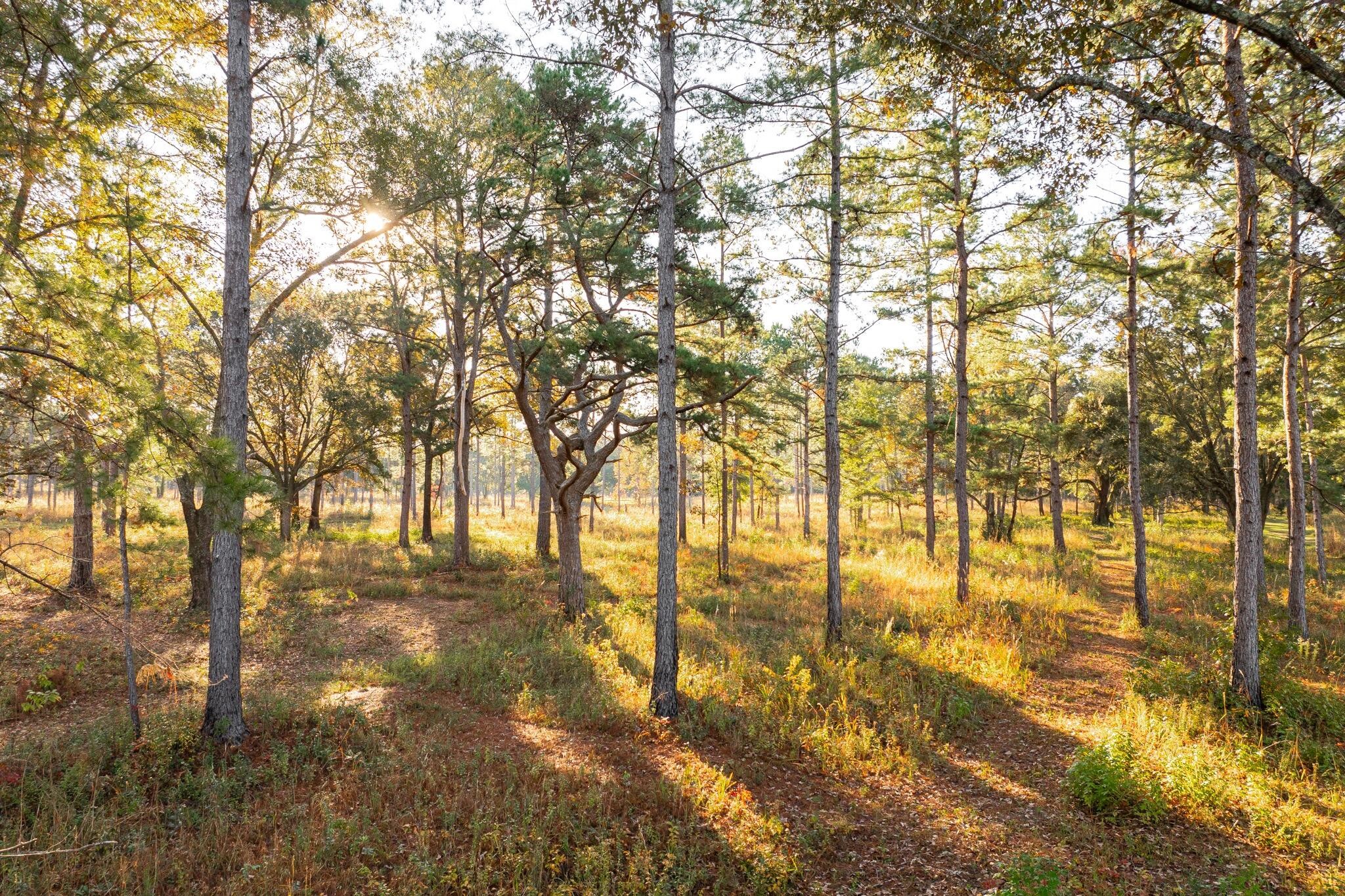 9700 Old Magnolia Road Property Photo 23