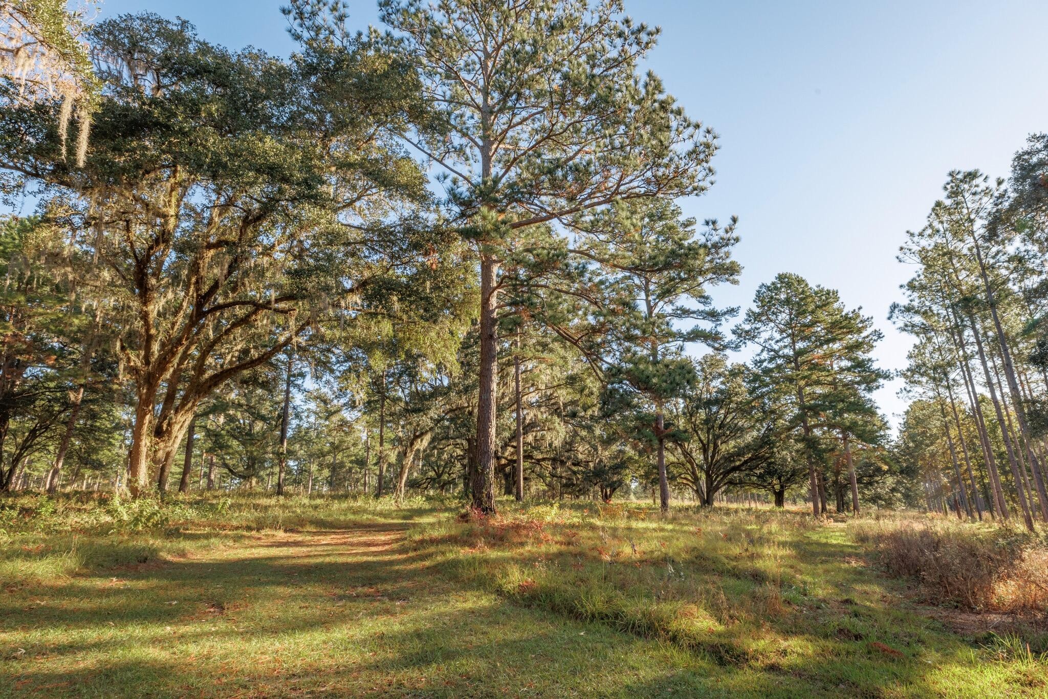 9700 Old Magnolia Road Property Photo 77