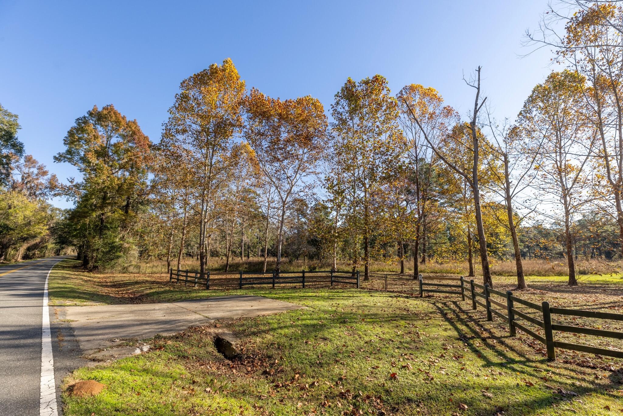 9700 Old Magnolia Road Property Photo 84