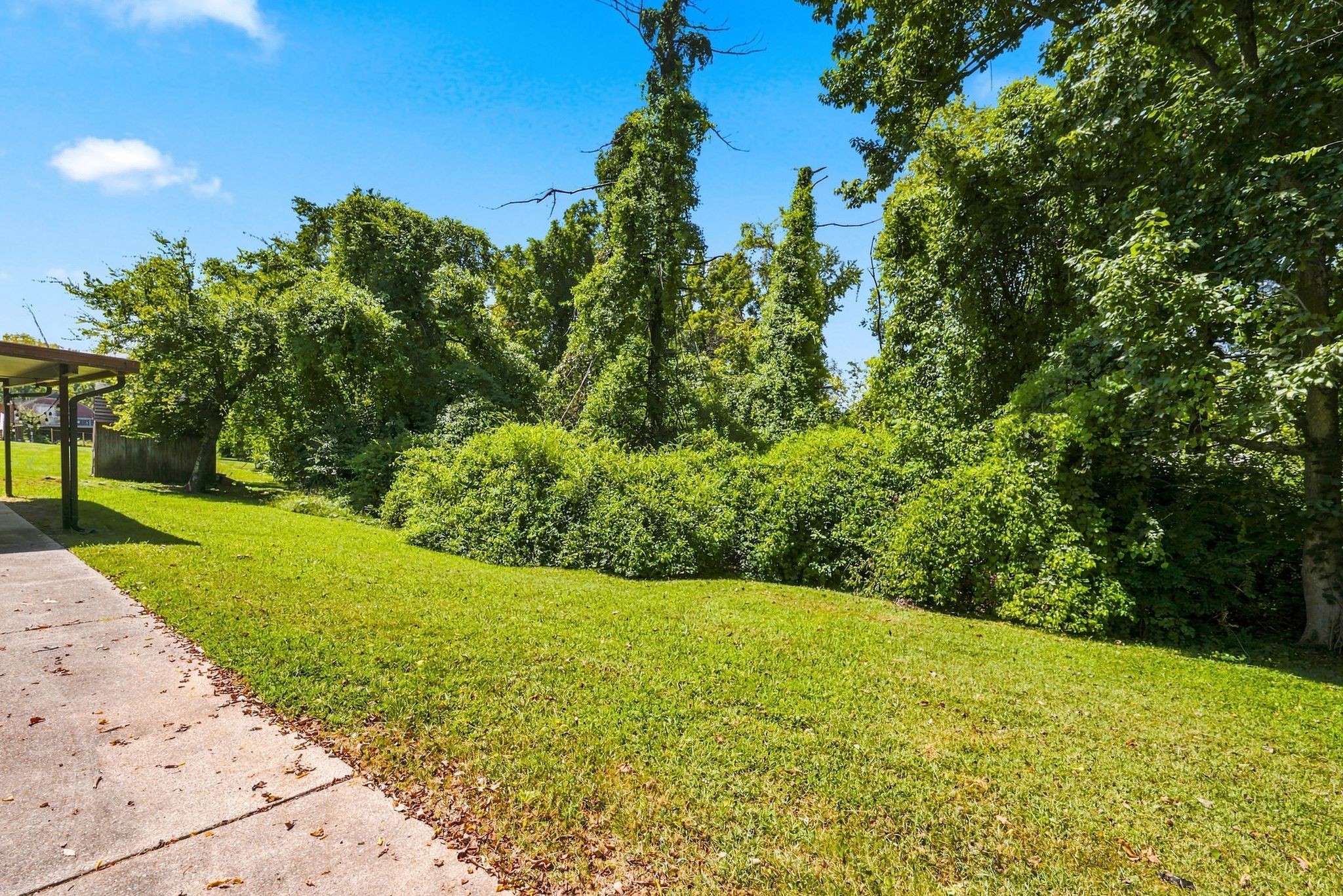 8219 Luree Ln Property Photo 32