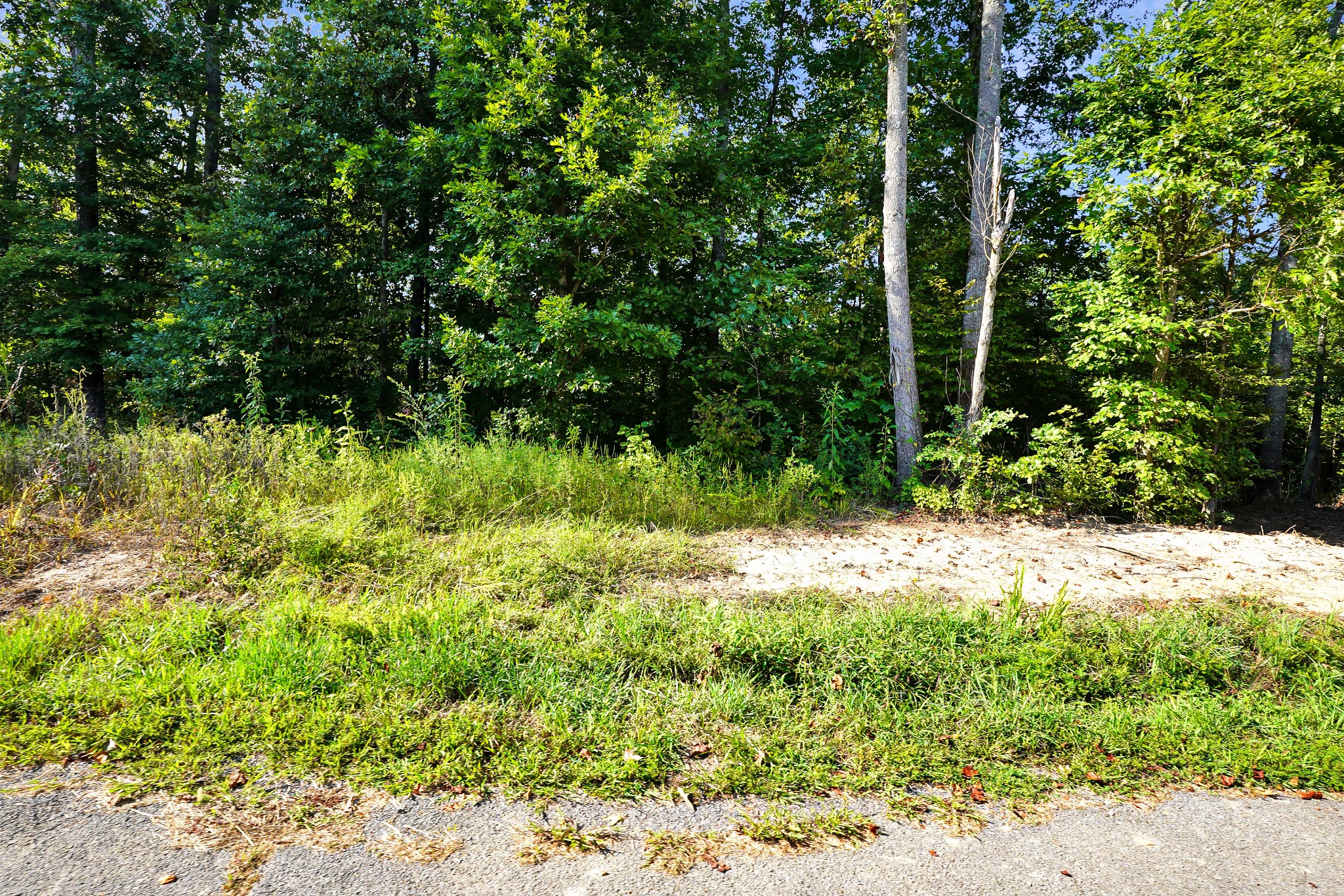 4 Selph Rd Property Photo 5