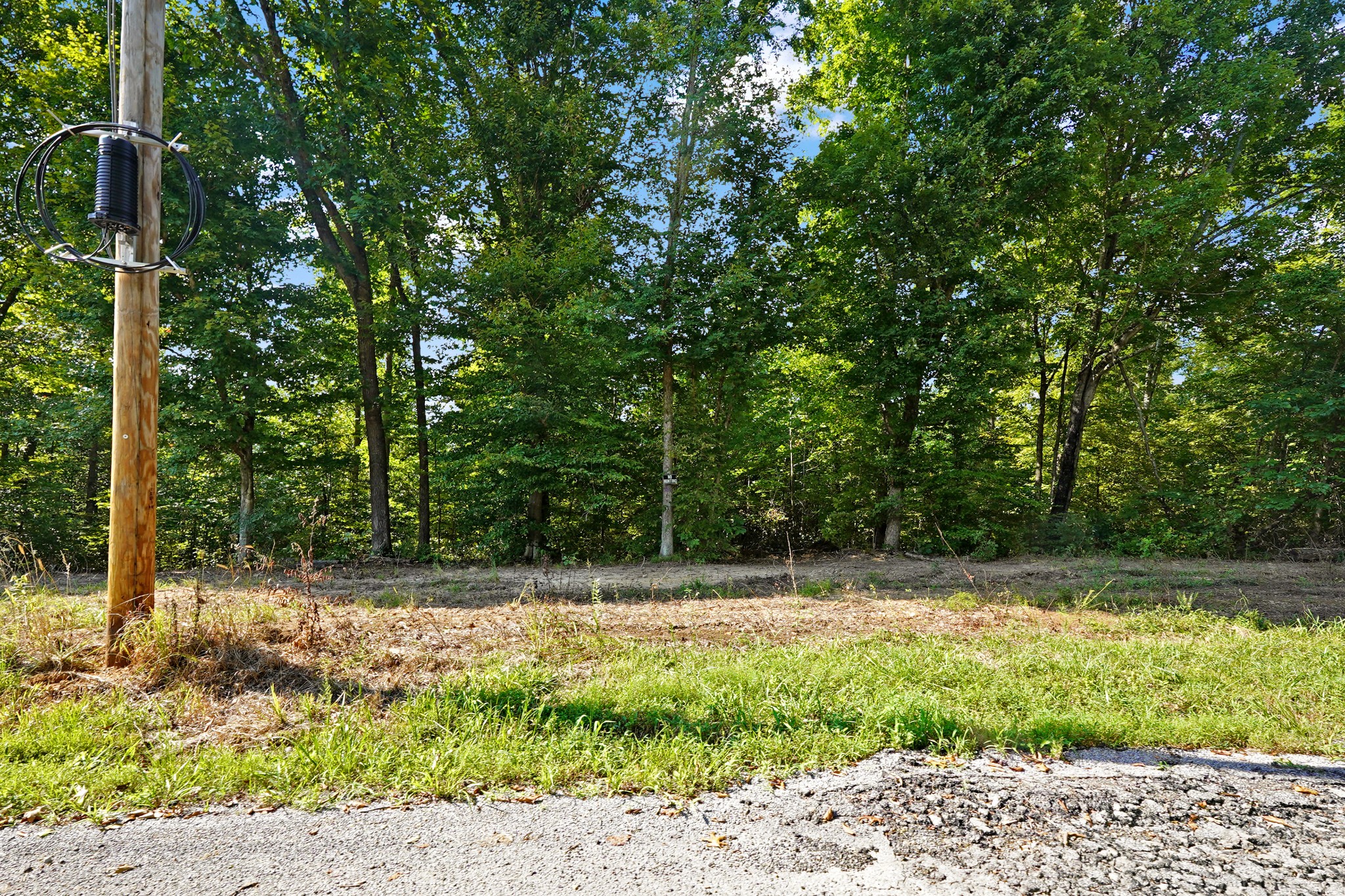 6 Selph Rd Property Photo 4