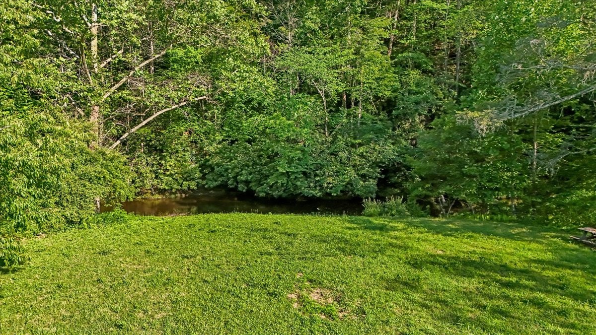 490 Mountain Springs Rd Property Photo 40
