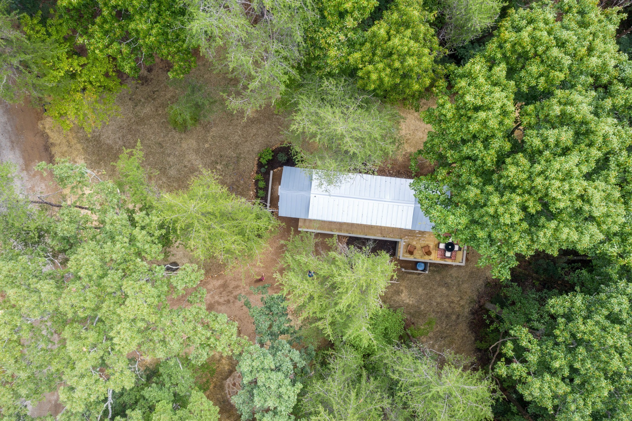 484 Deer Lick Trail Property Photo 1