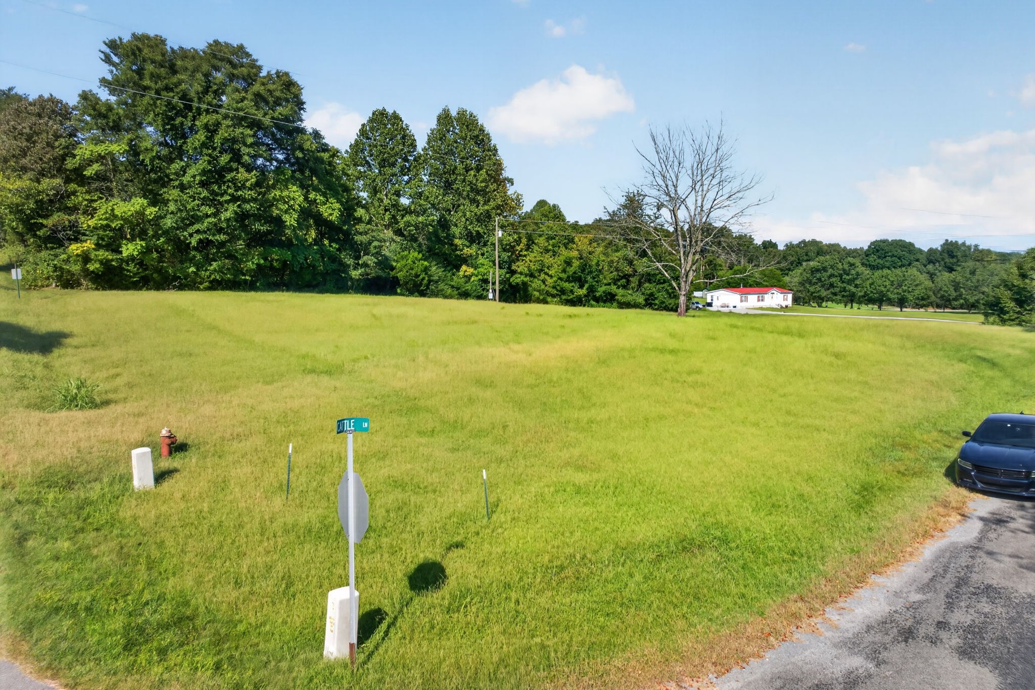 119 Cattle Ln Property Photo 1