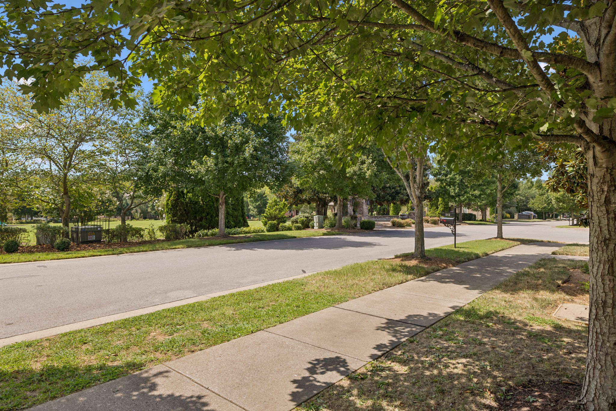 510 Dabney Dr Property Photo 3