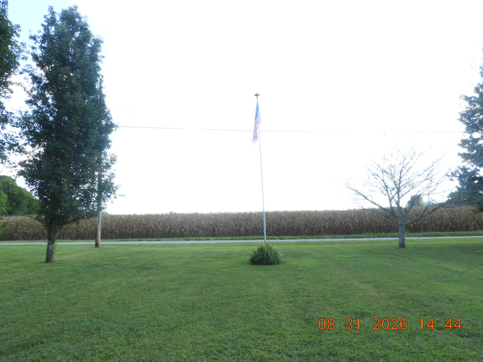 135 Crescentview Cutoff Rd Property Photo 47