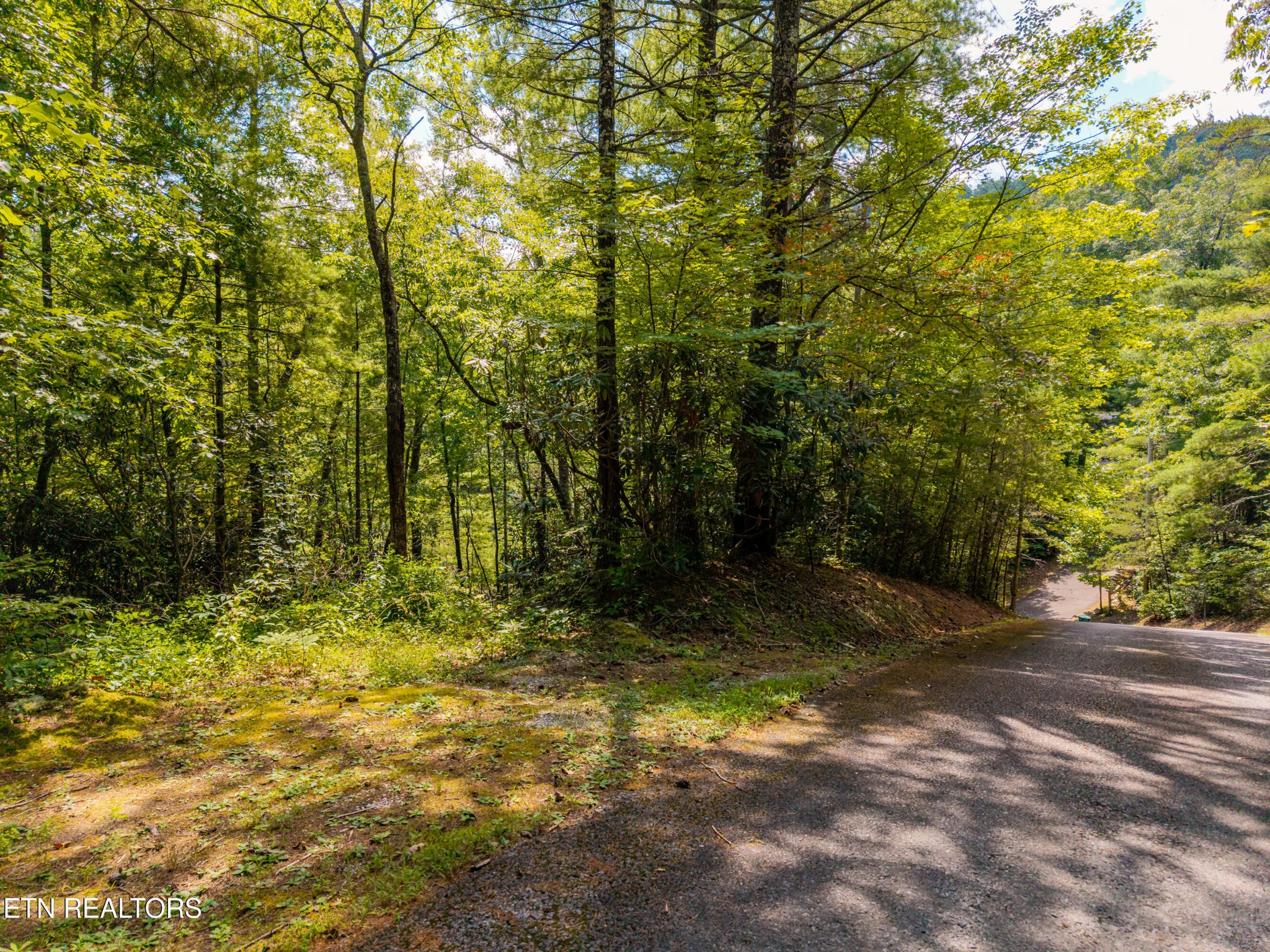 267 Cobblestone Way Property Photo 1