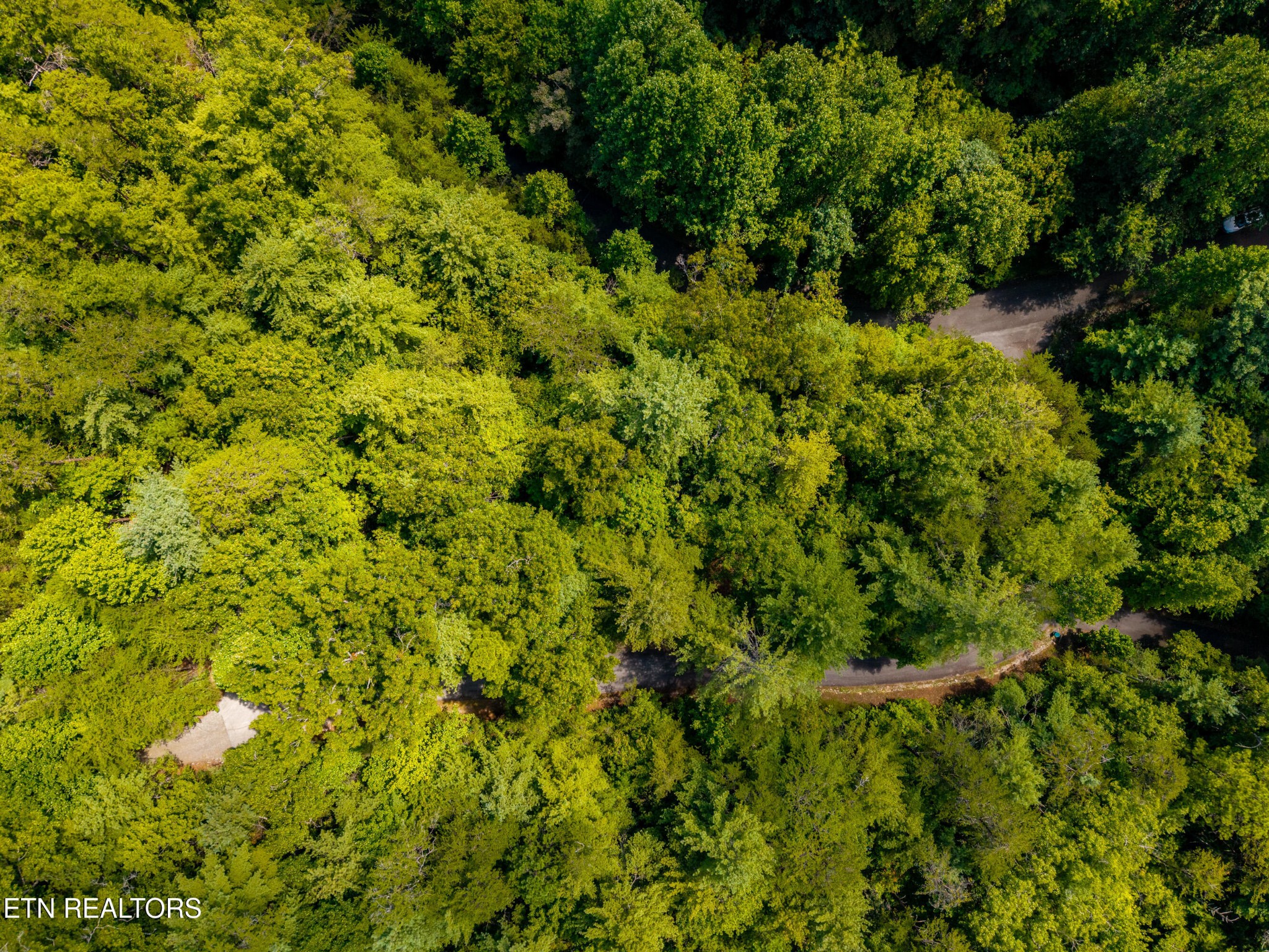 267 Cobblestone Way Property Photo 3