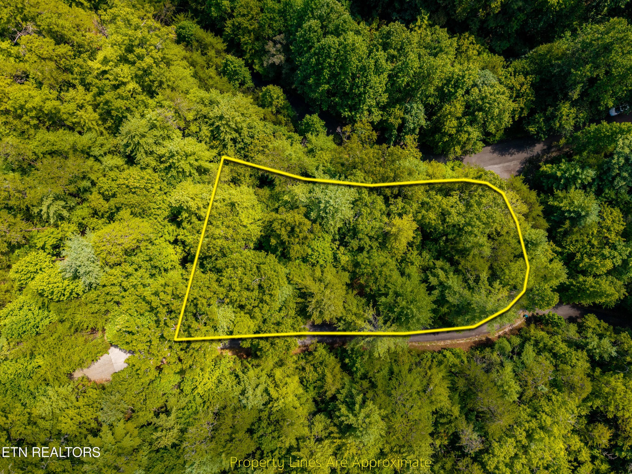 267 Cobblestone Way Property Photo 4