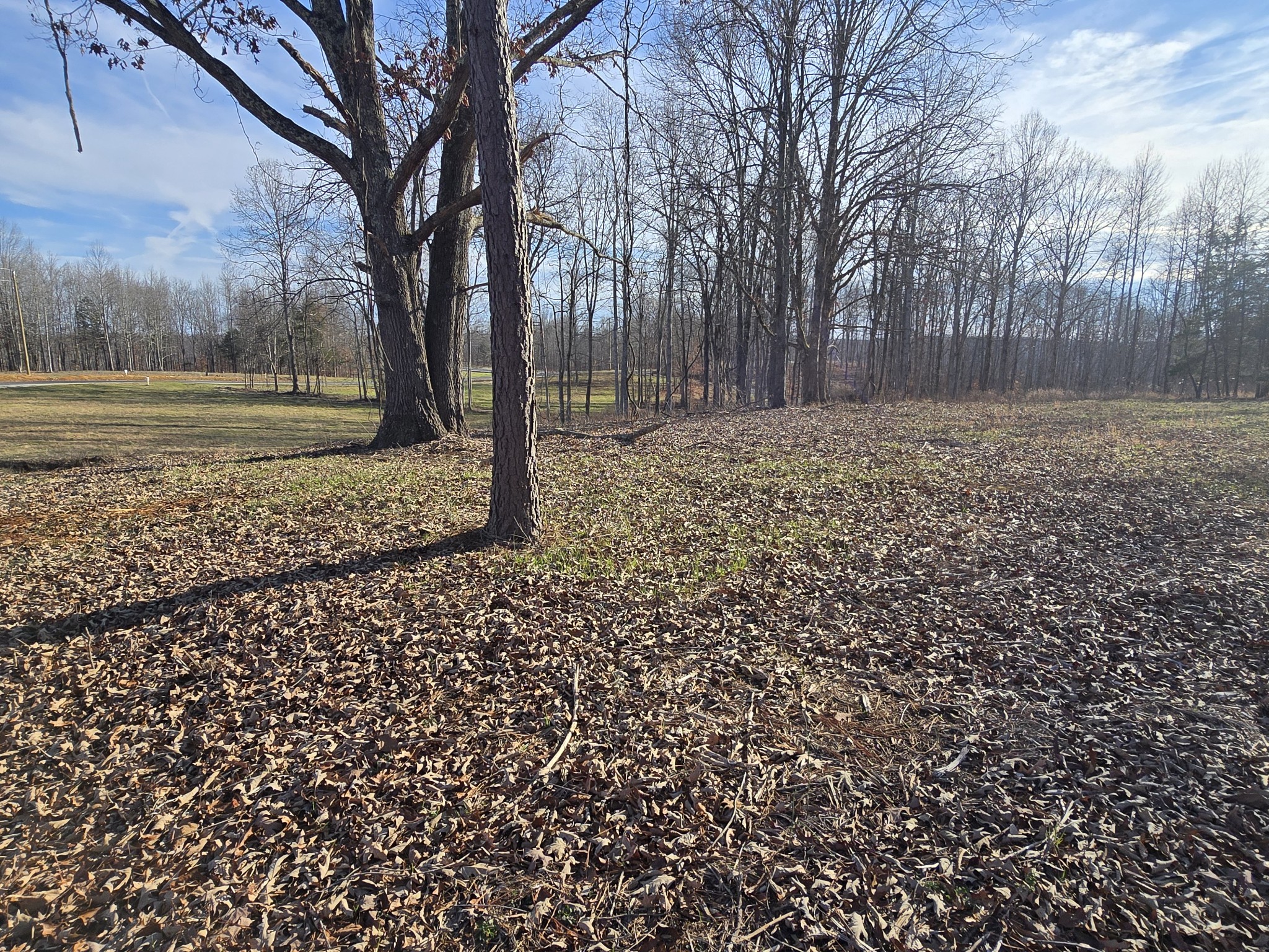 9510 Medlin Rd Property Photo 4