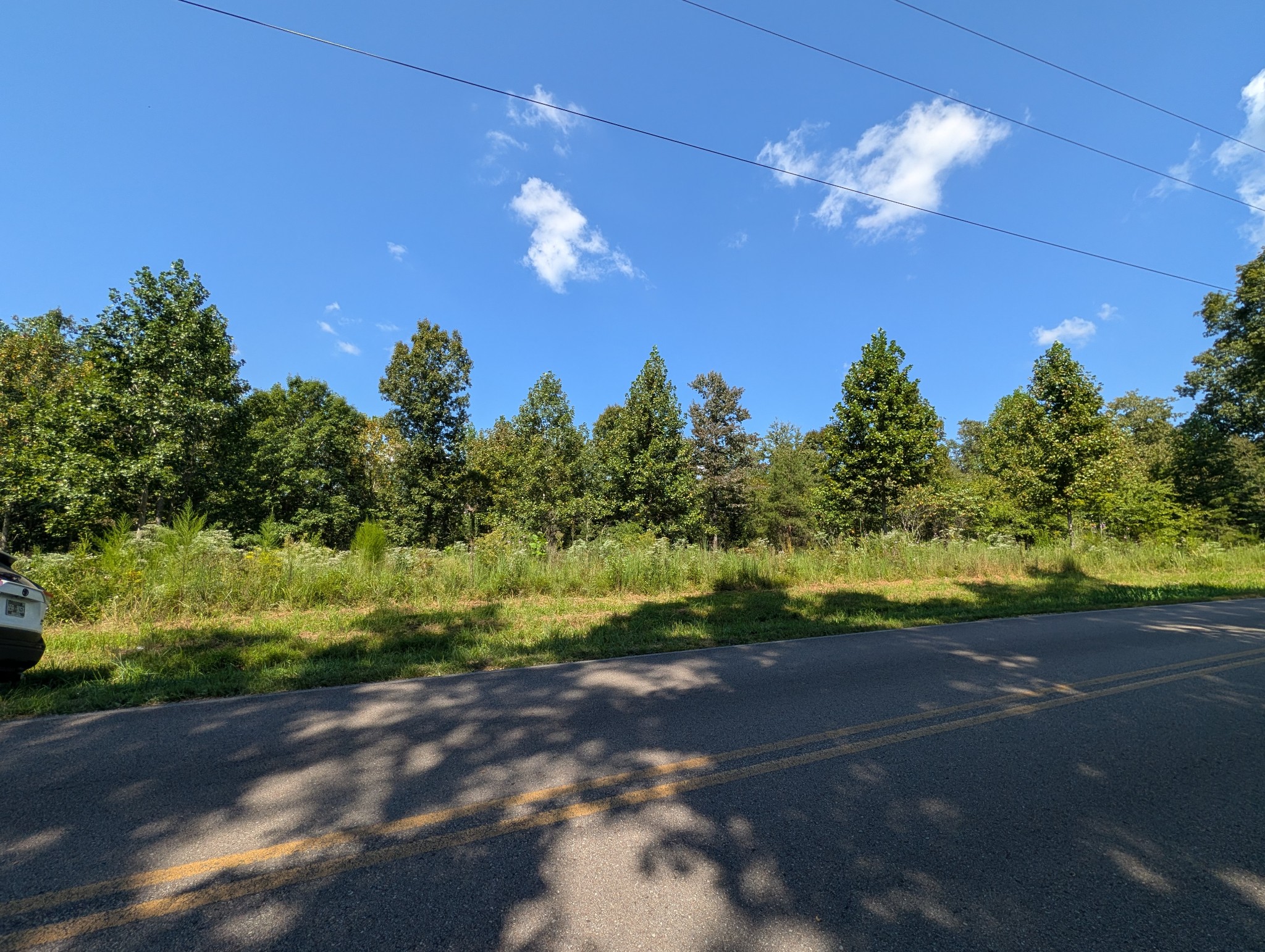 331 Ridgetop Rd Property Photo 6